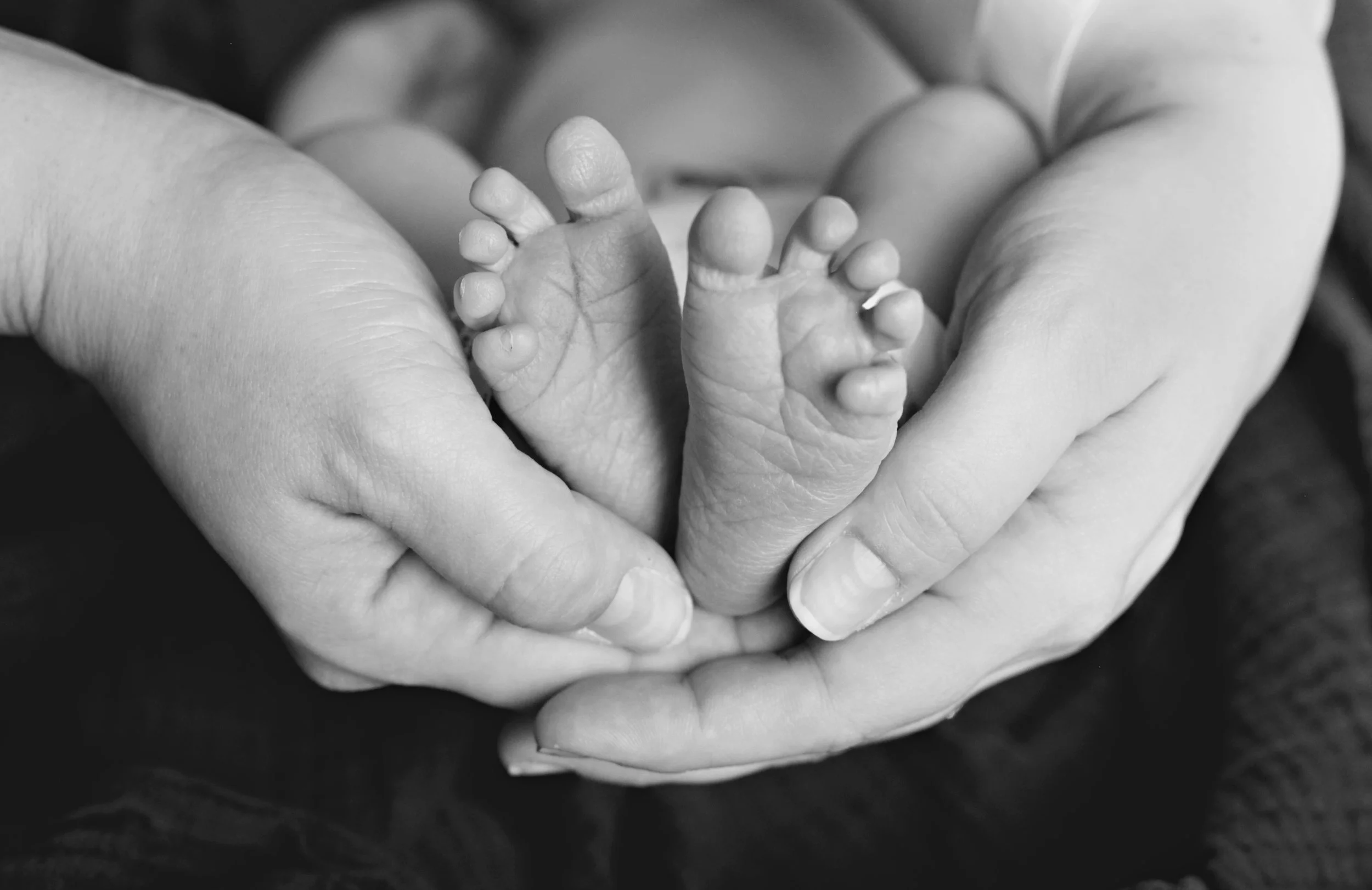 black and white fresh 48 newborn baby feet in mother's hands