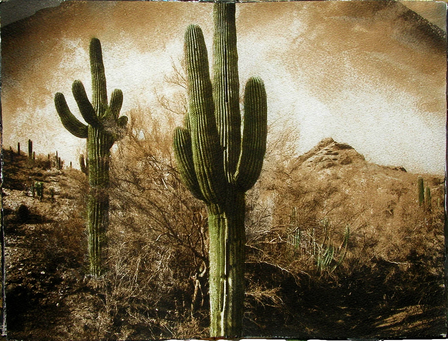 Papago Mountains