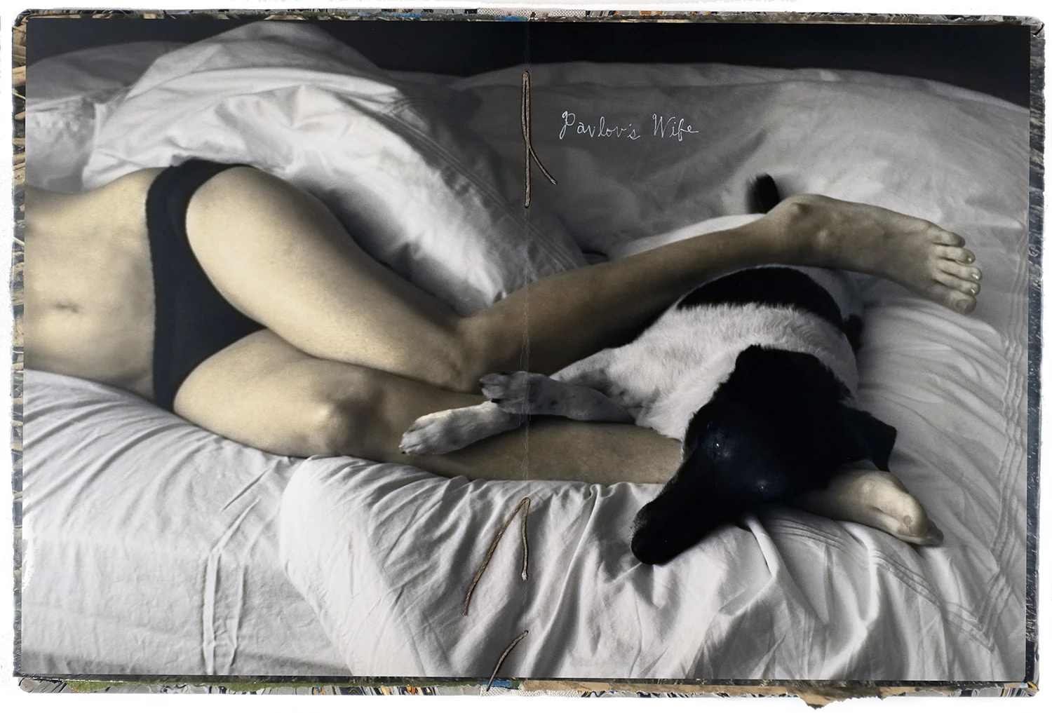 Pavlov's Wife
