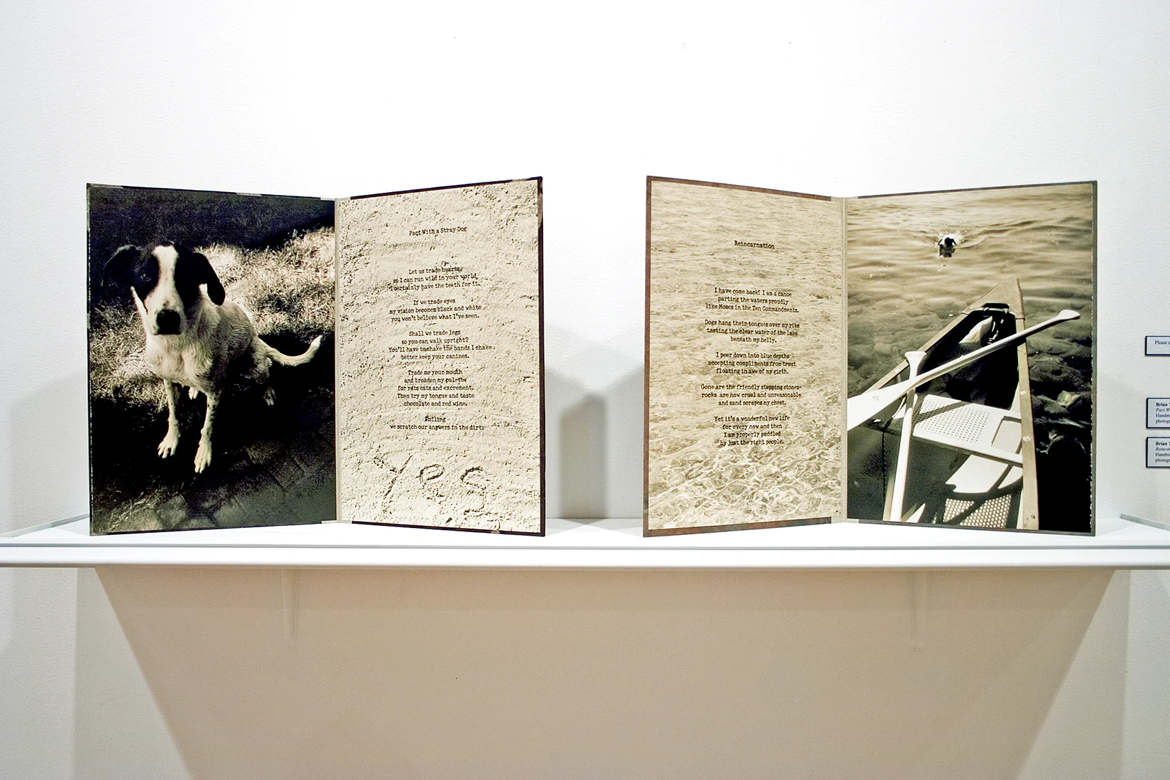 Open Folio 1.jpg