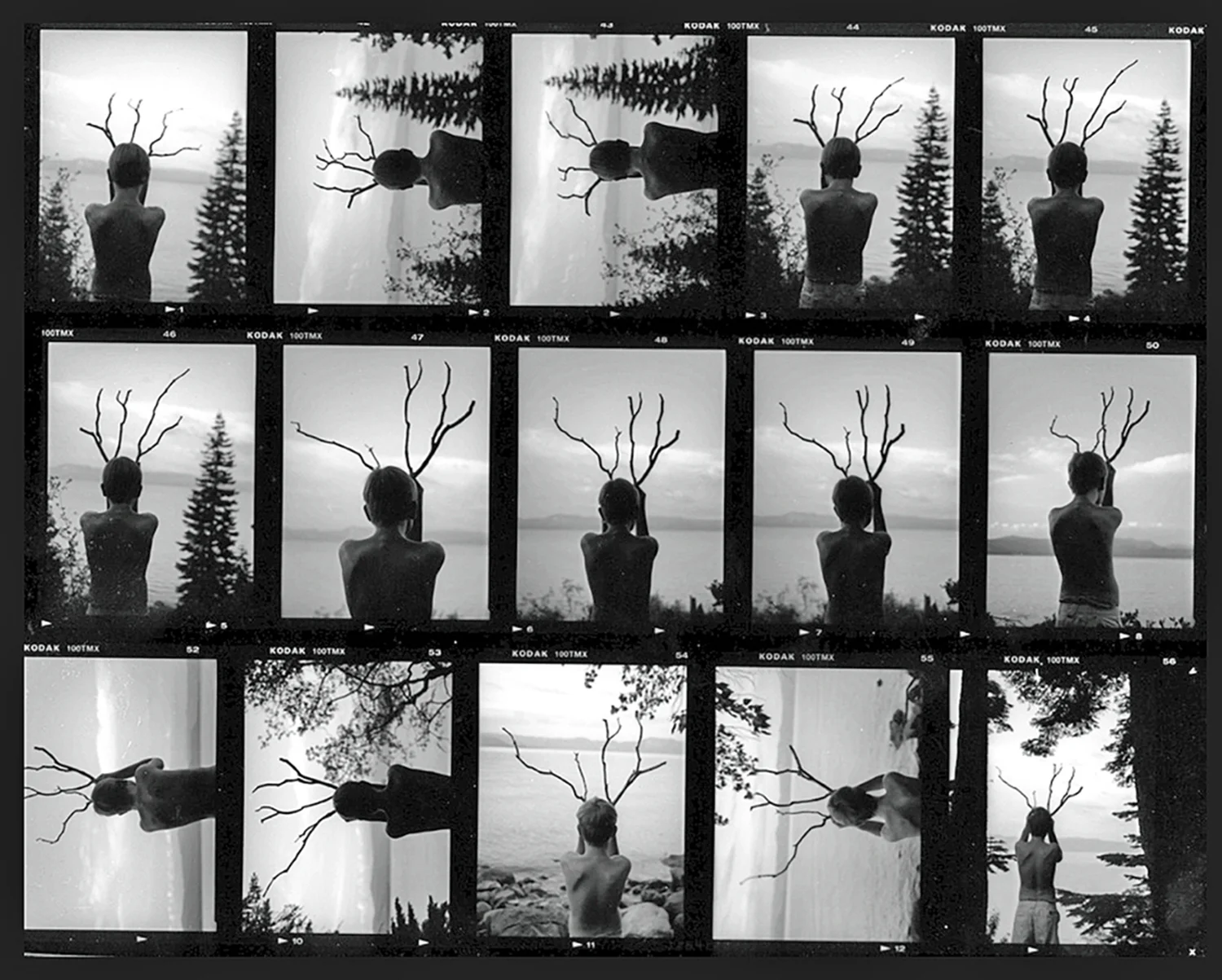 Contact sheet for Changing Nature