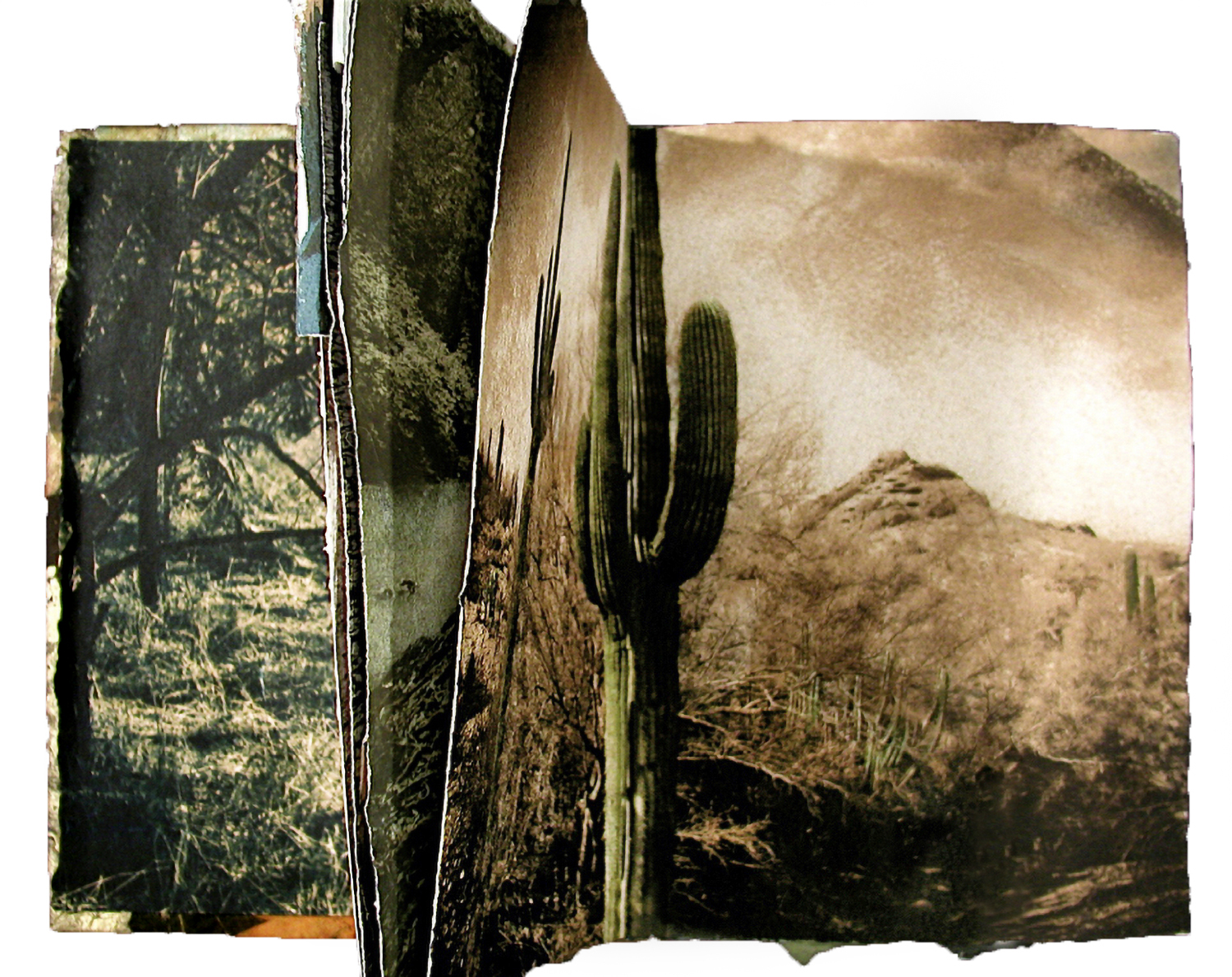 Desert Book, inside pages