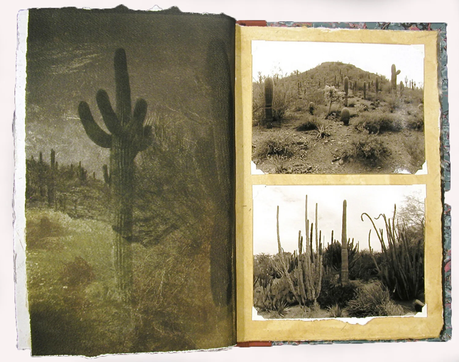 Desert Book, inside pages