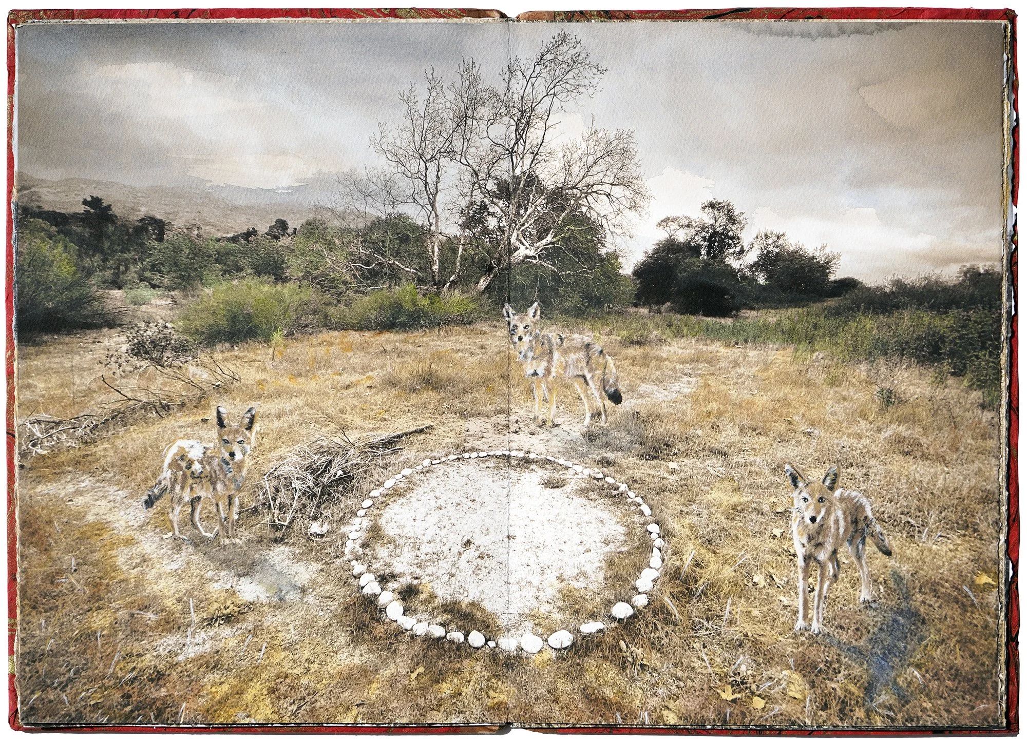 Carlos Castaneda's Friends