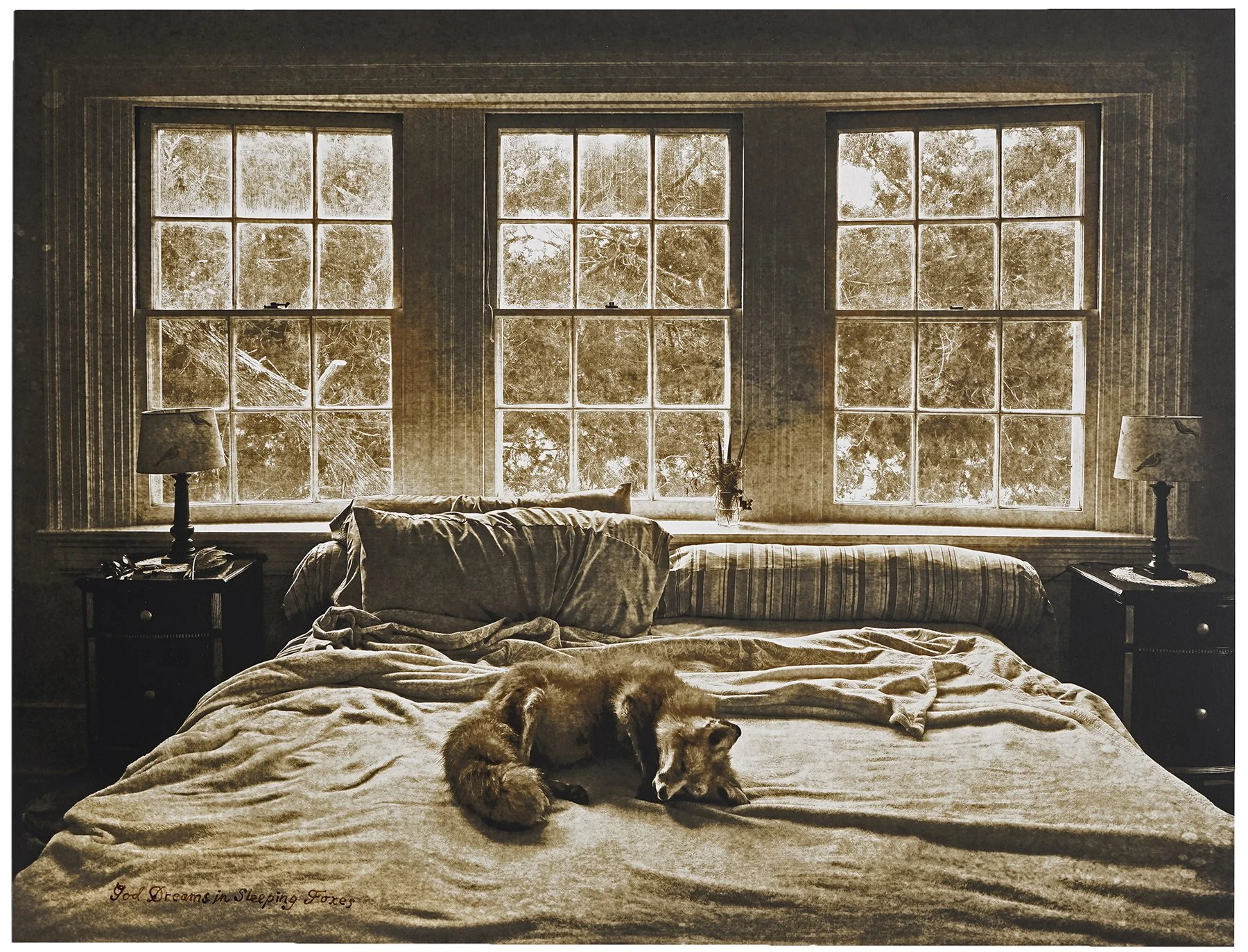 God Dreams in Sleeping Foxes