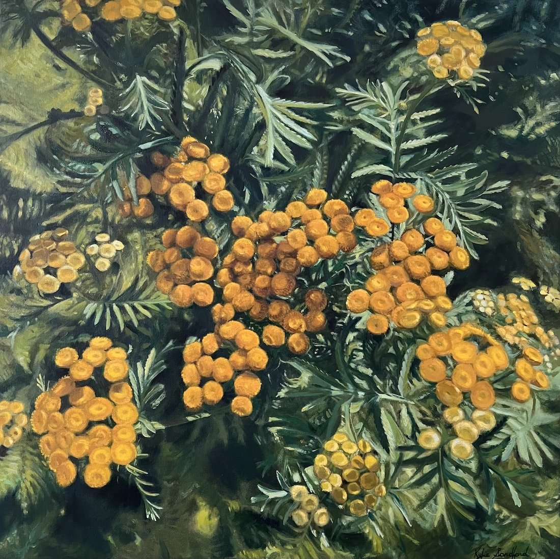 Wild Tansy 2 at the Artist Project May 8-11