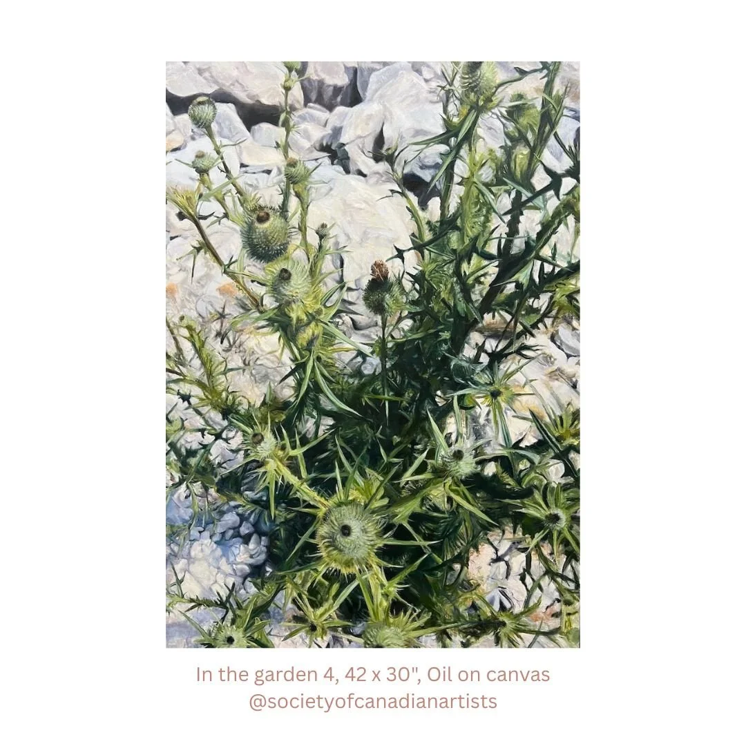 I'm happy to have my painting In the garden 4, included in the Society of Canadian Artists 57th juried exhibition! I kept this painting loose with sharp edges of spiky thistle in contrast. I see the thistle as a symbol of growth, perseverance and res