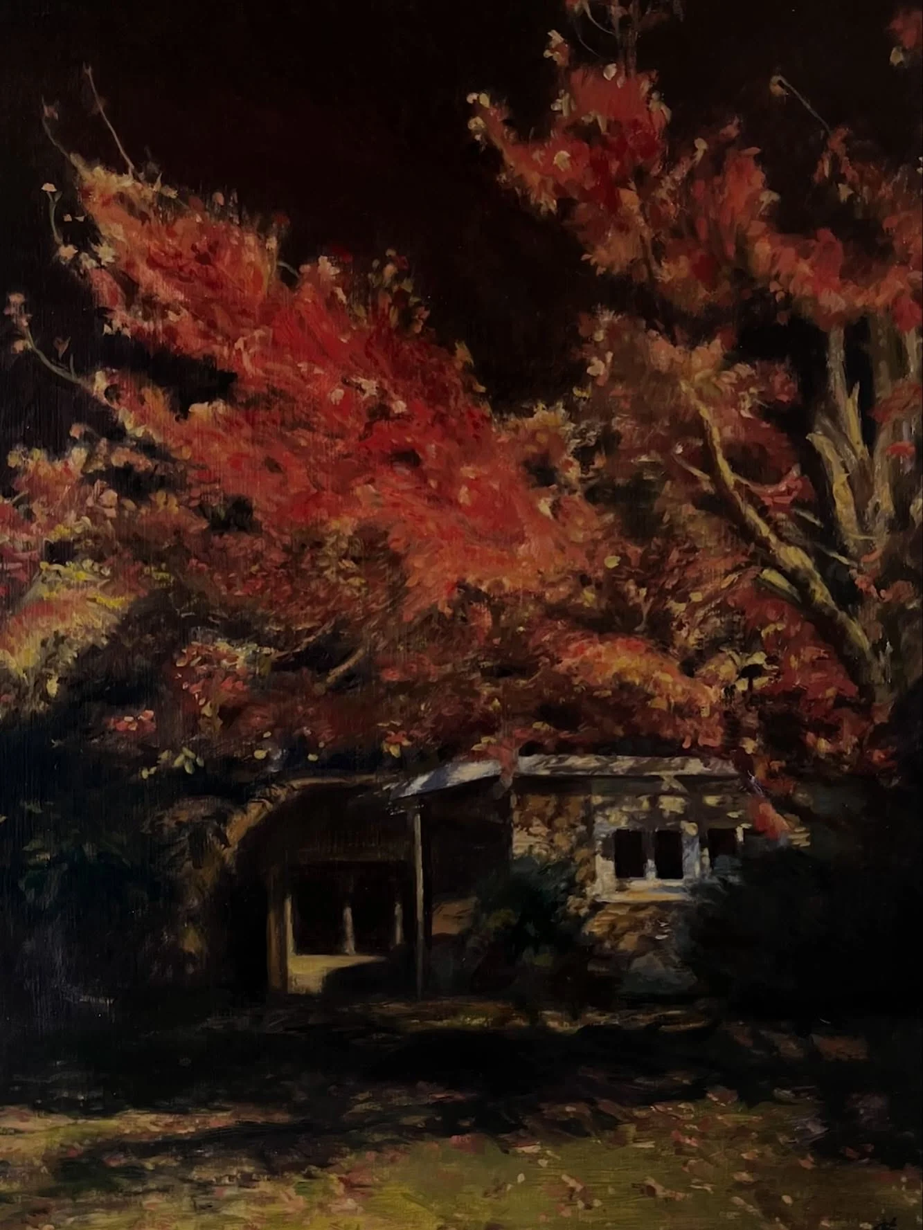 On fire 🔥
Are you going to out for an evening stroll to catch the leaves in the lamplight? Fall goes by so quickly, so I love to see what&rsquo;s lit up at night, the colours, the shadows and the quiet ambiance.

Oil on board
9x12&rdquo;