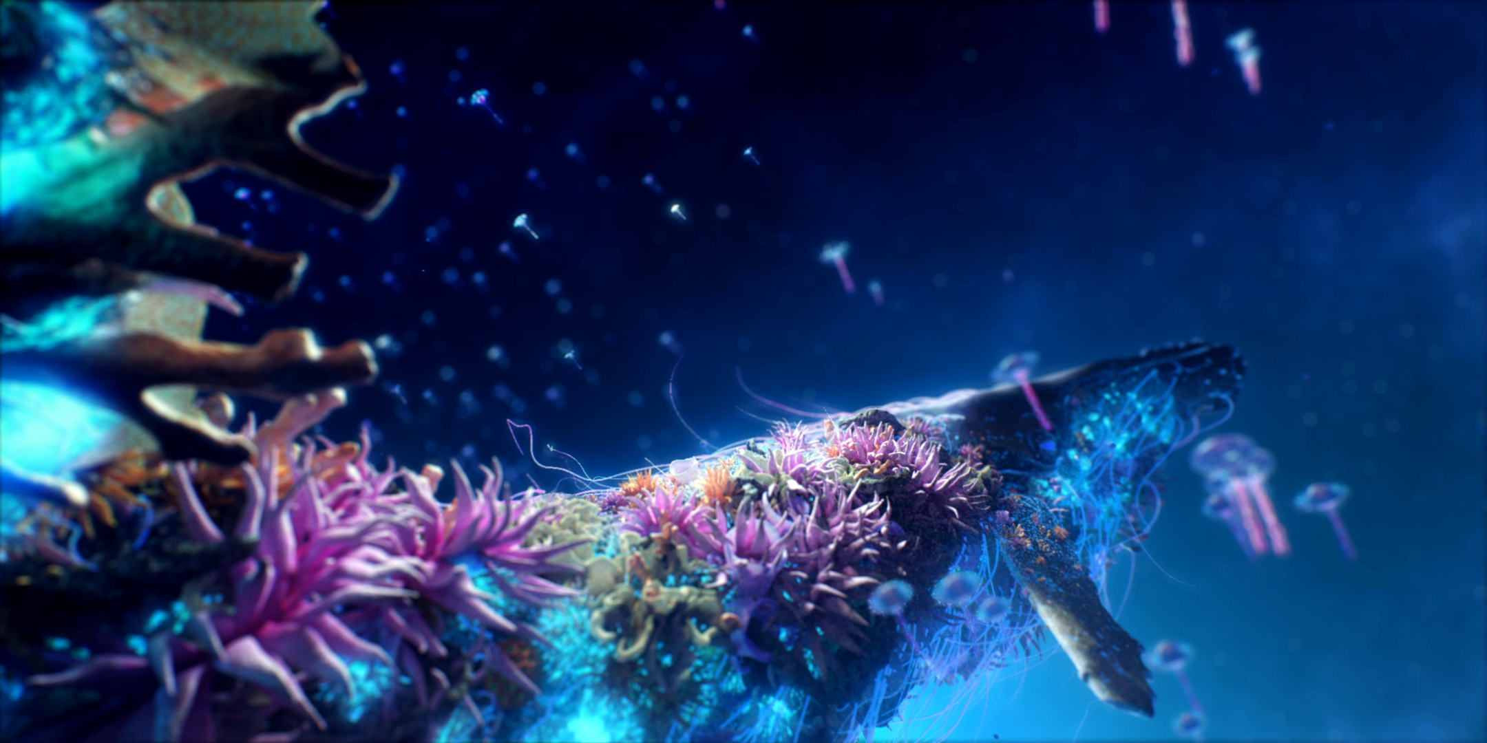 KMP_still_023 (1).png