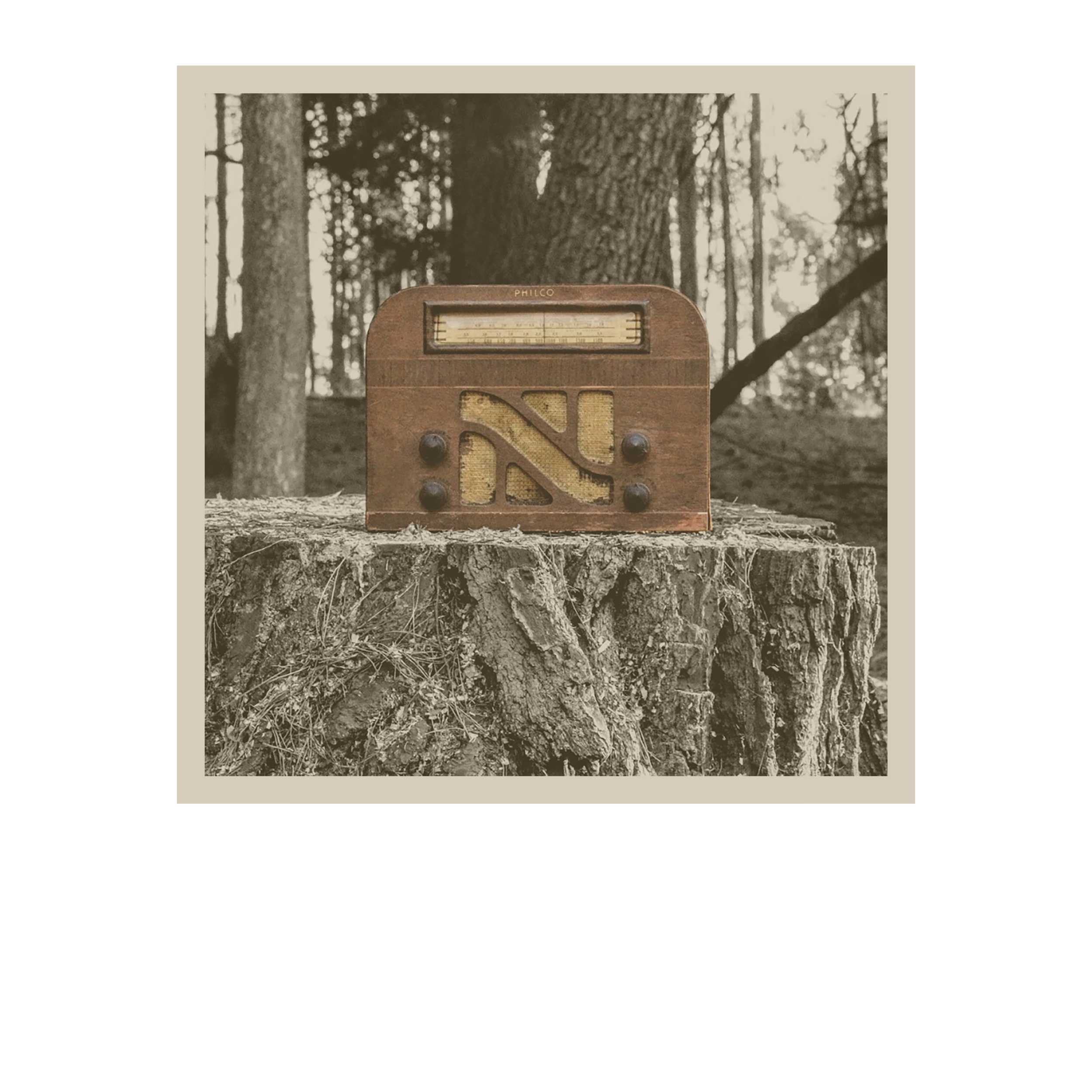 Vinyl adjusted.png