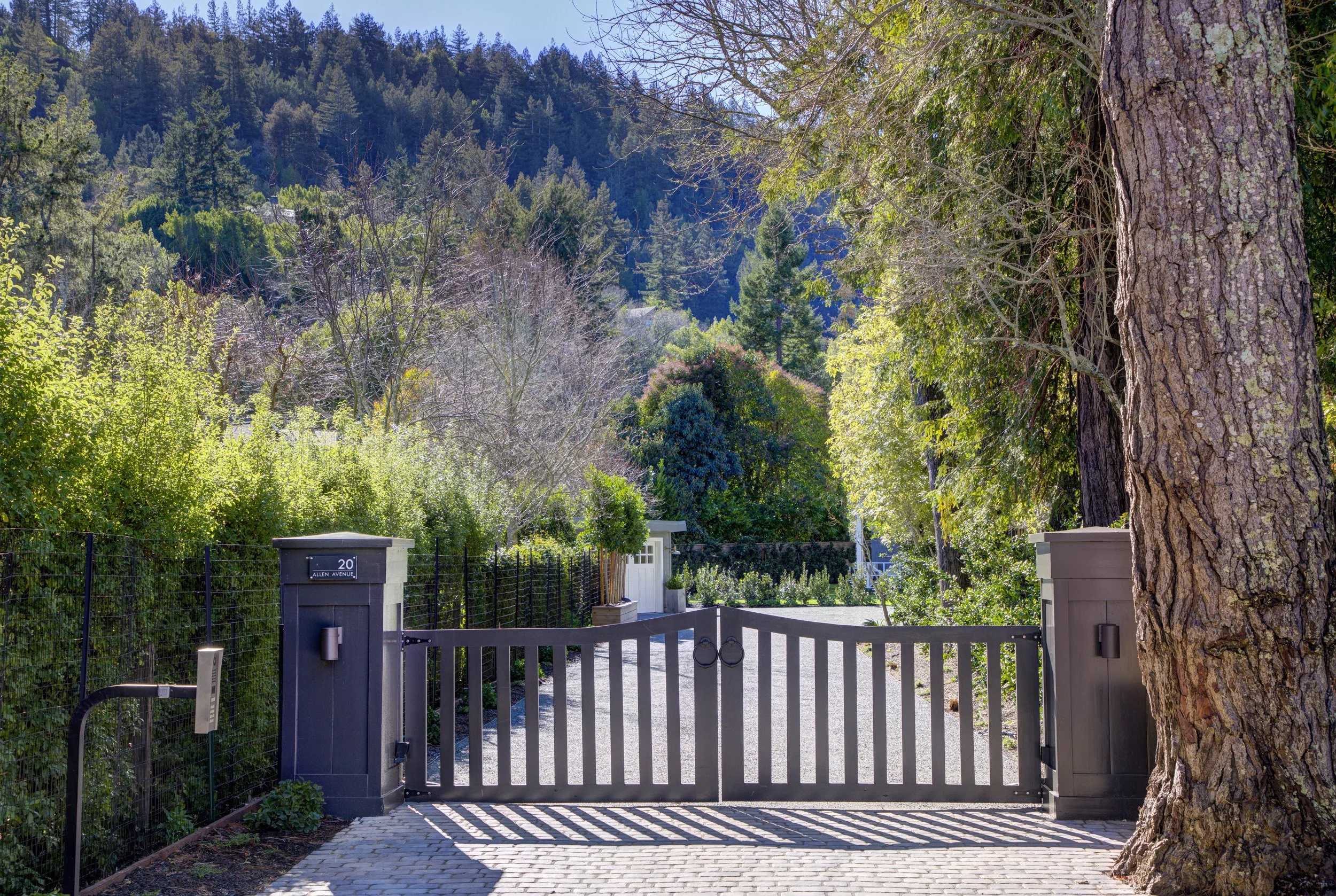 20Allen 03 2500px 300dpi.jpg