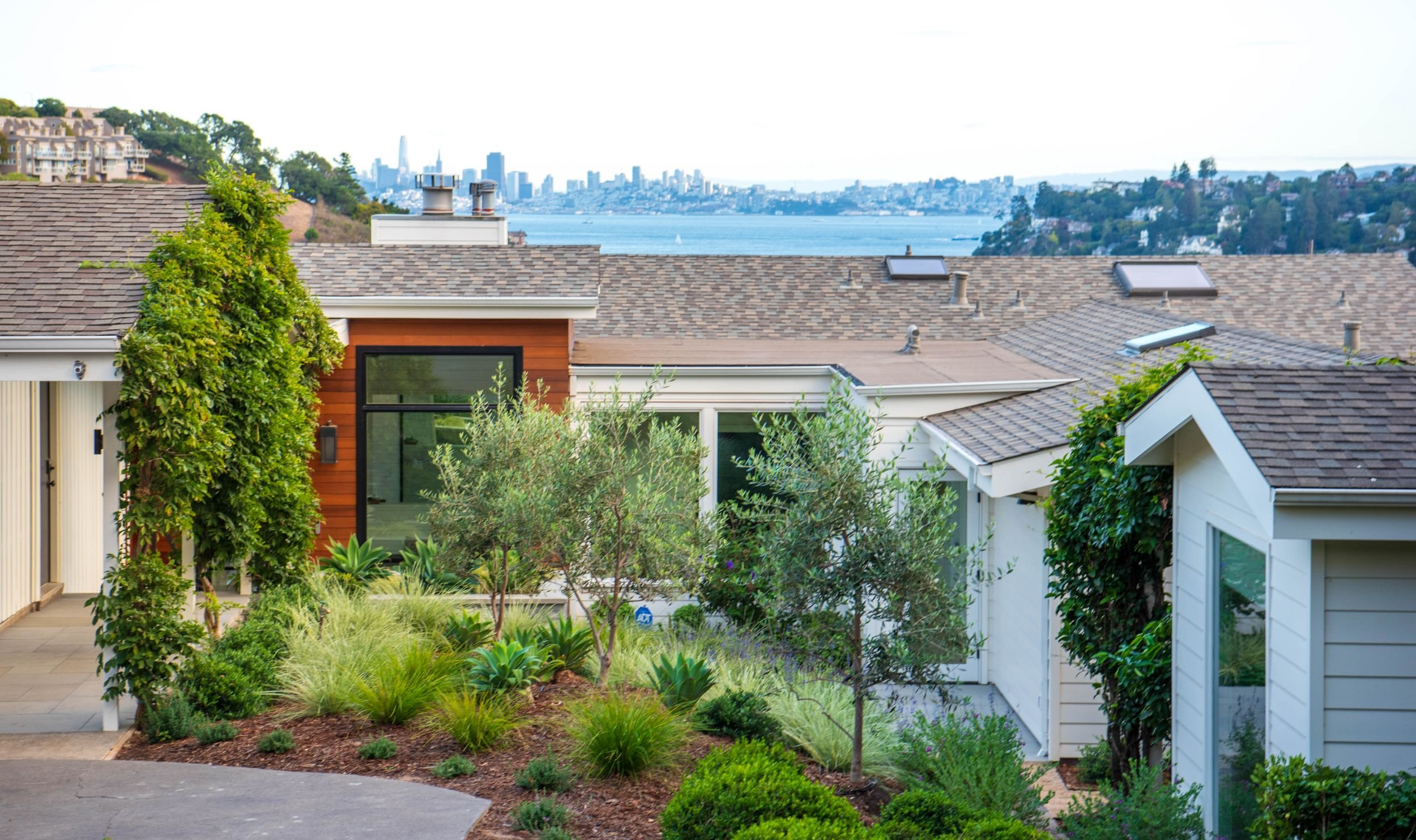 processed_65 Spring-101.jpeg