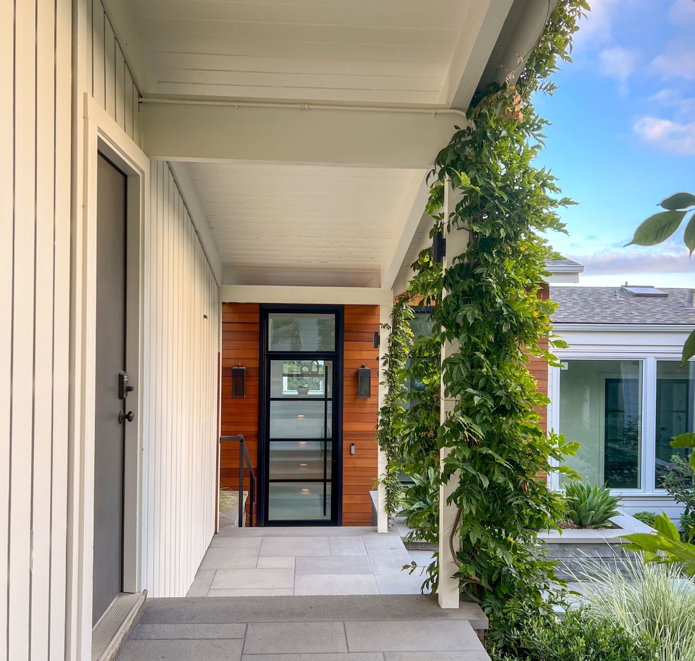 processed_processed_65 Spring 0-11.jpeg