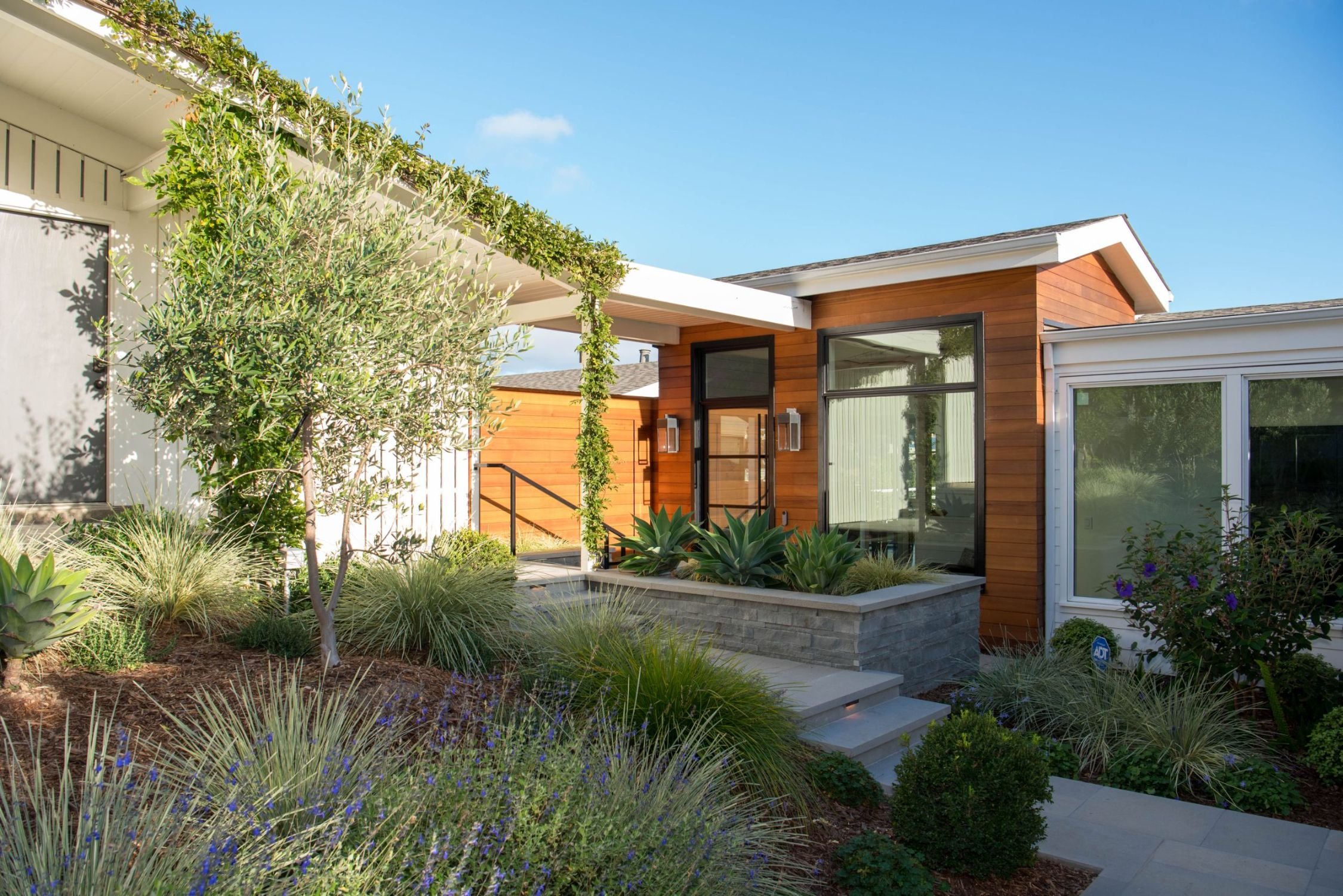 processed_processed_65 Spring-81.jpeg