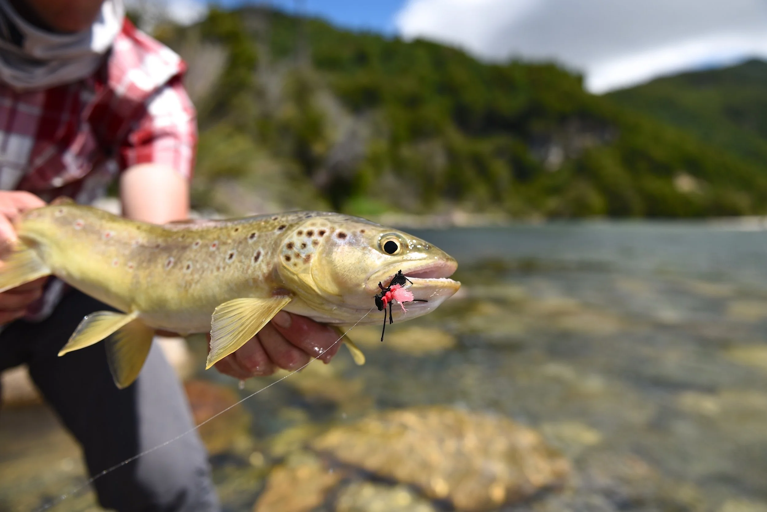 DSC_0416.jpg