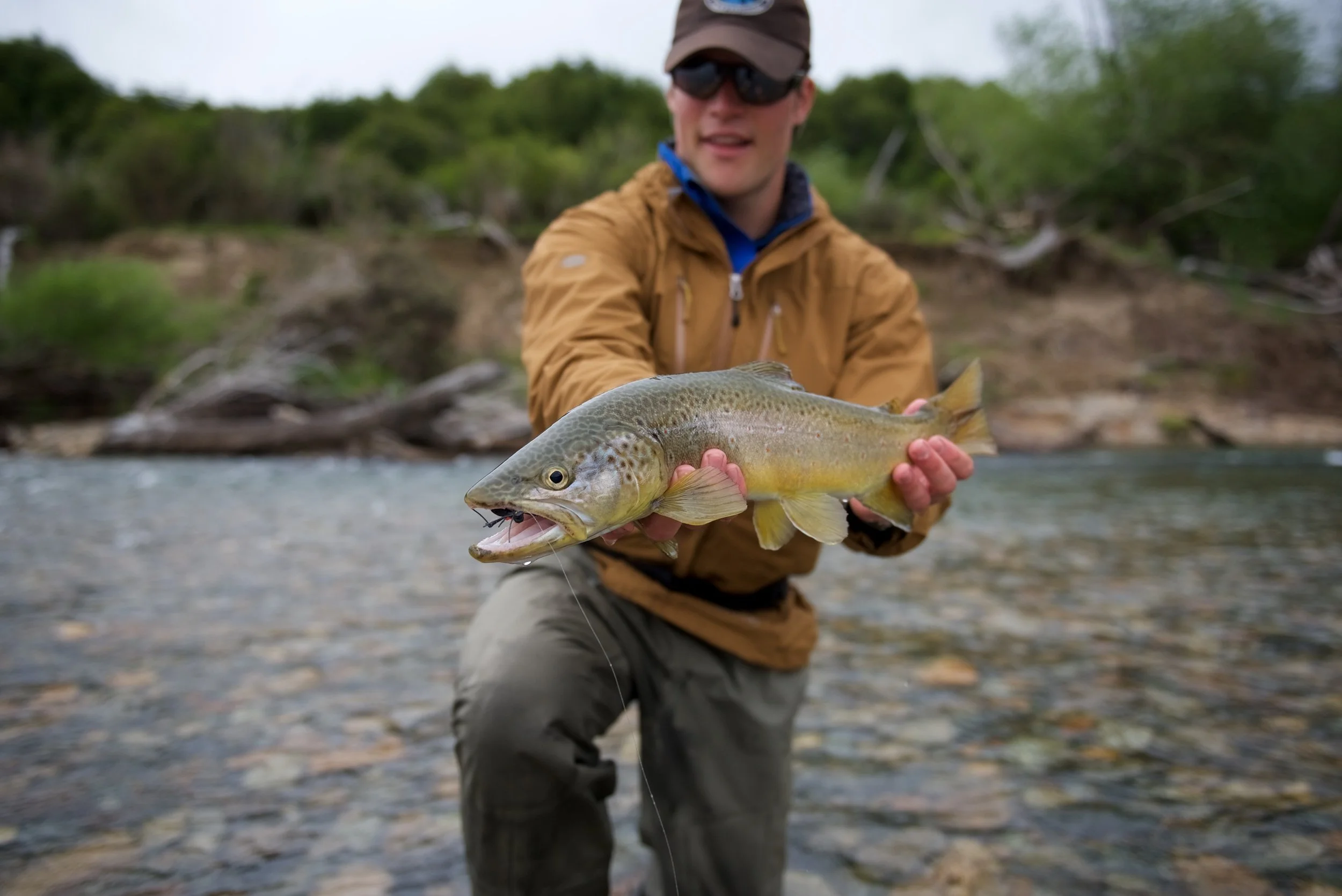 DSC_0818.jpg
