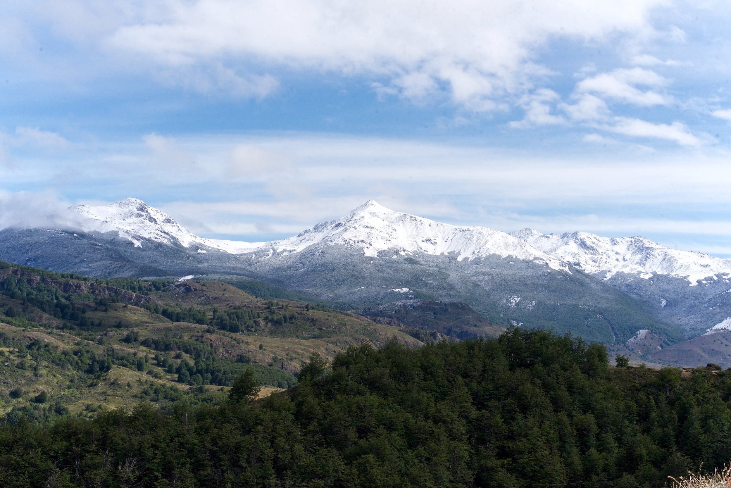 DSC_3390.jpg