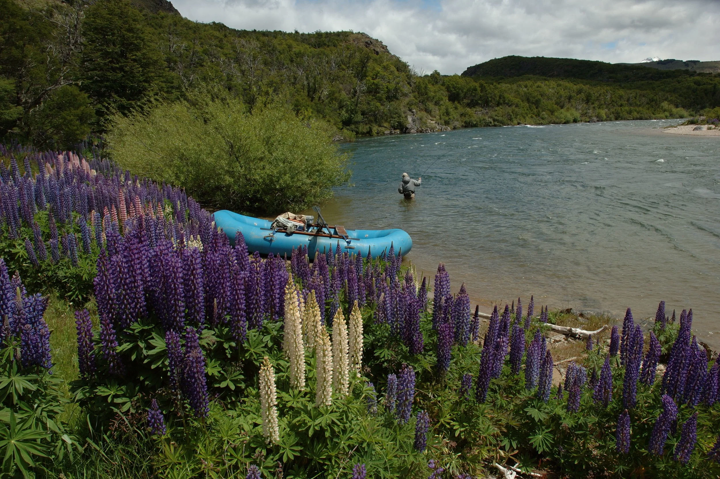 DSC_0273.JPG