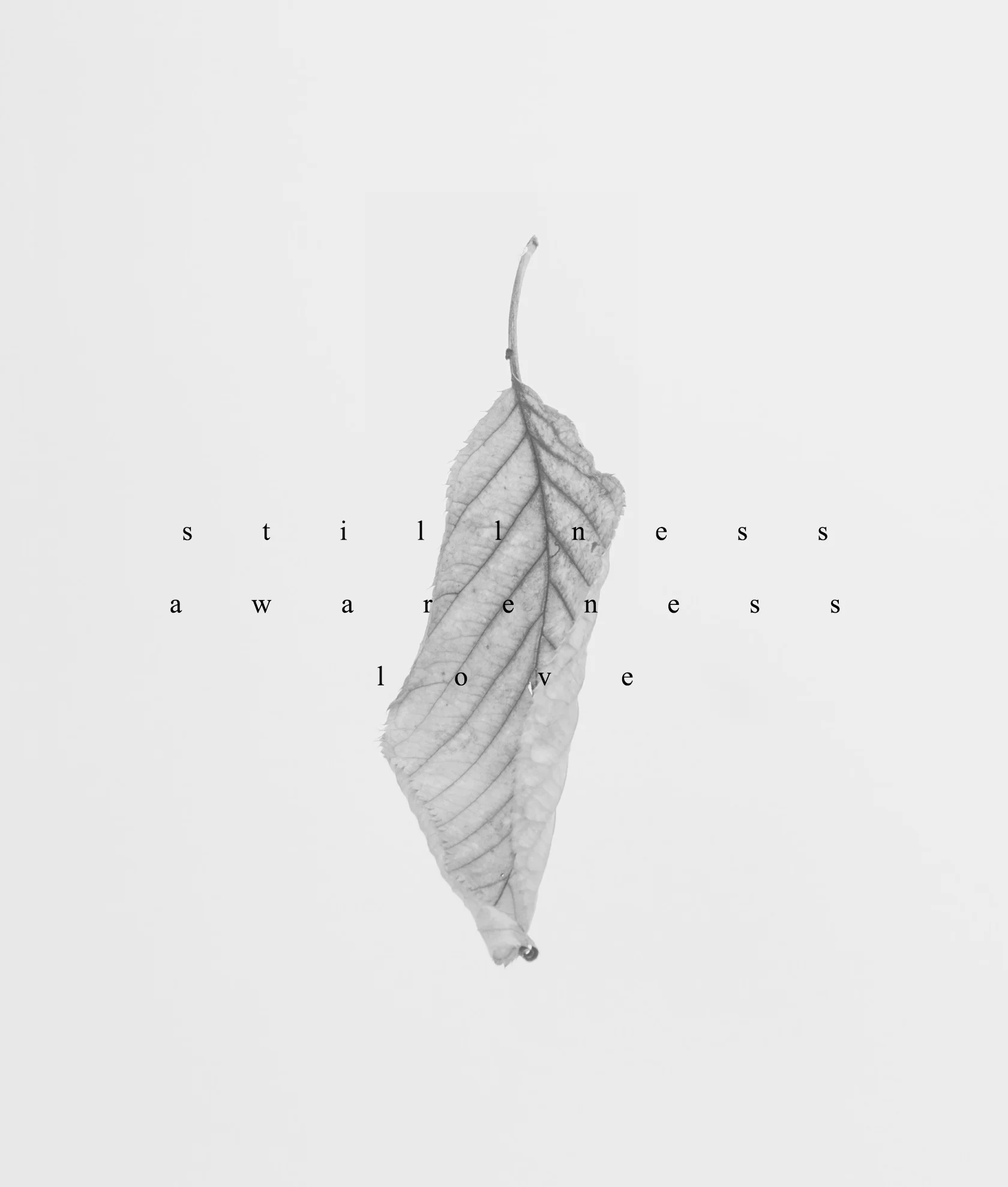 mainLeaf.jpg