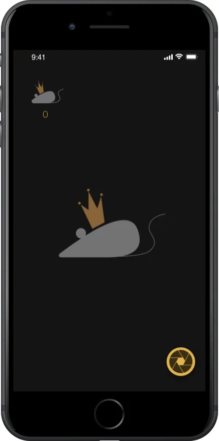 AR mouse.jpg