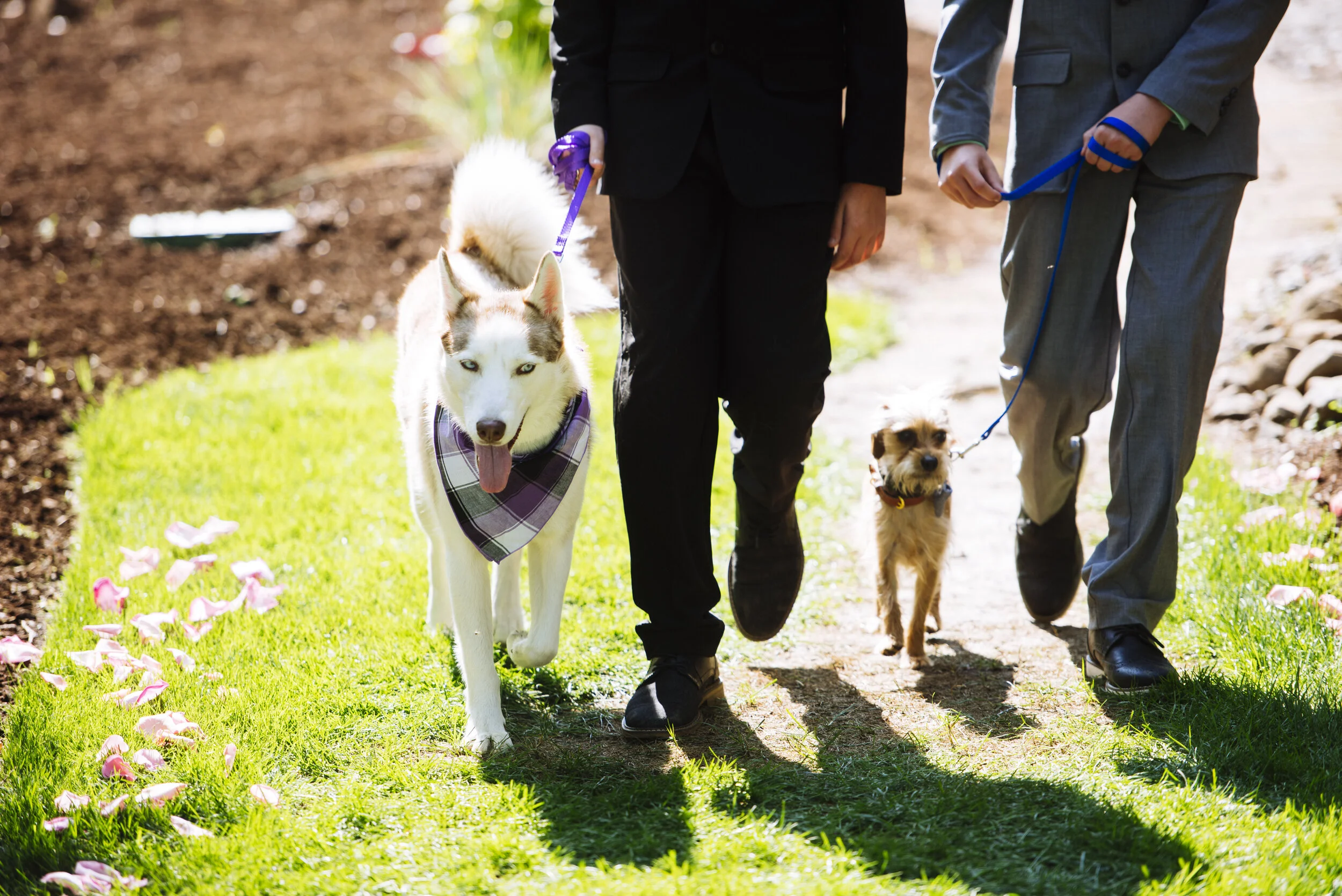 20190803 - Duru and Little C Web-497.jpg