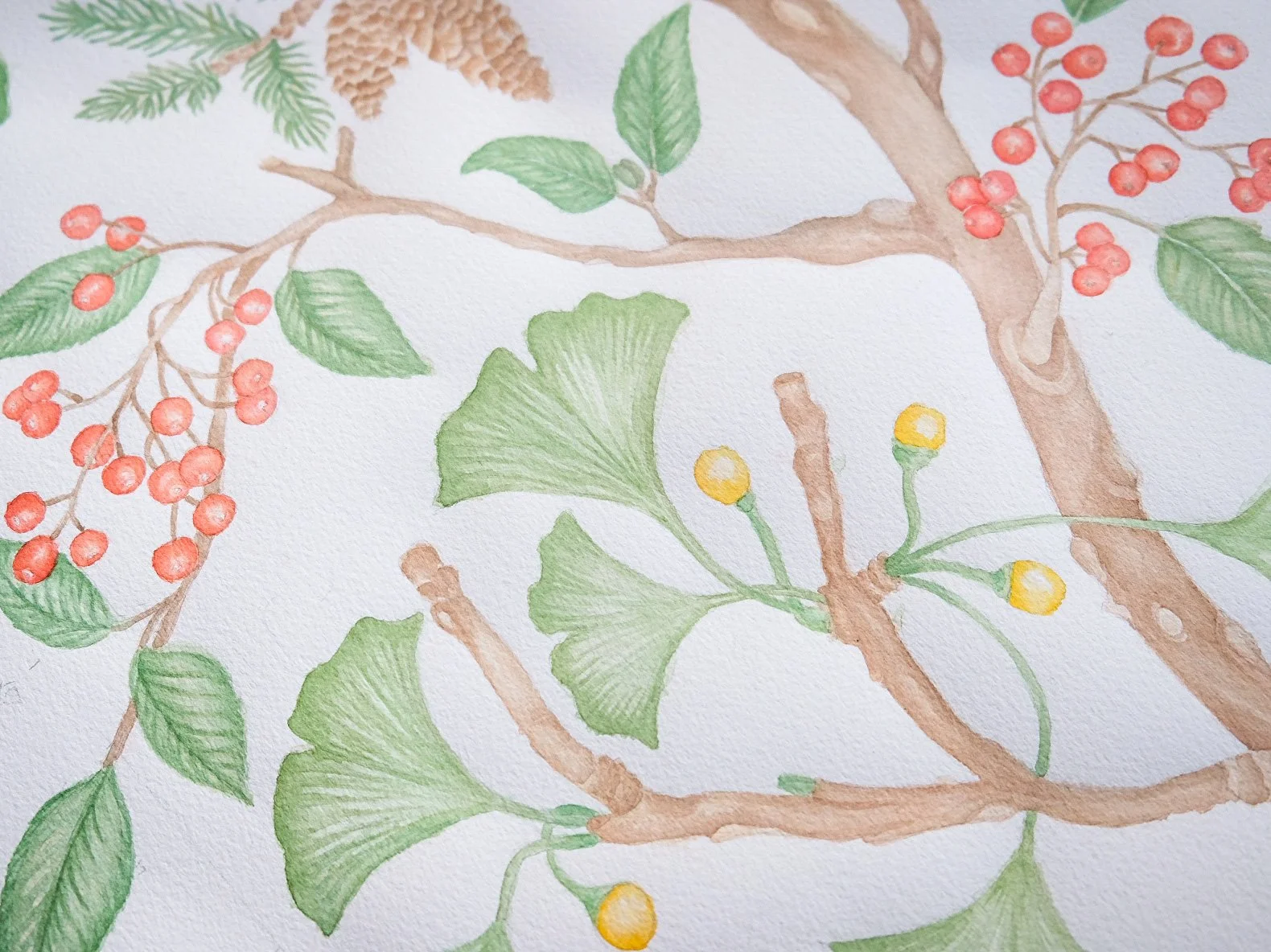 041A9F7A-D3E8-48F7-8E68-0499FE4C4BFF-12926-000005A0CEFB28D6 4.JPG