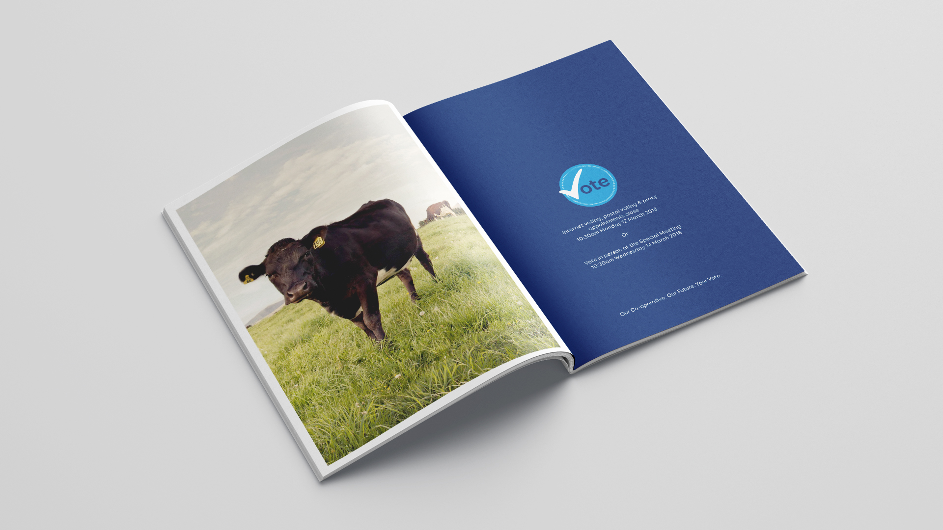 LIC NOM_A4_Brochure_Mockup_07.jpg