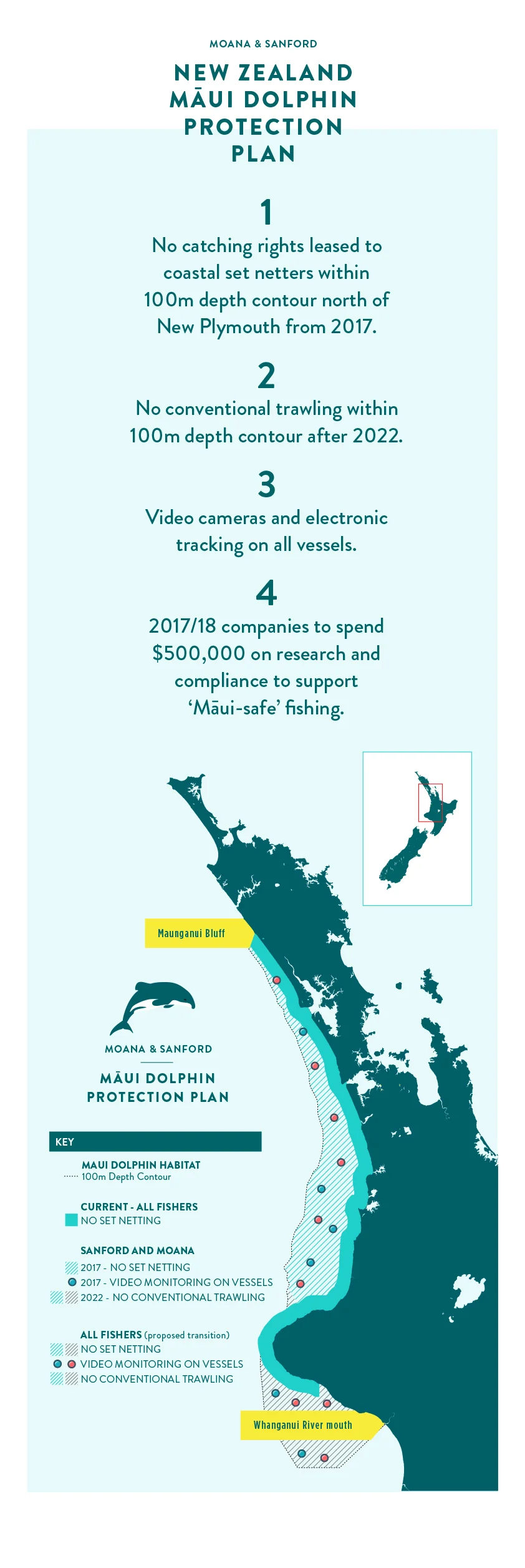 Sanford & Moana Maui Dolphin Protection Infographic.jpg