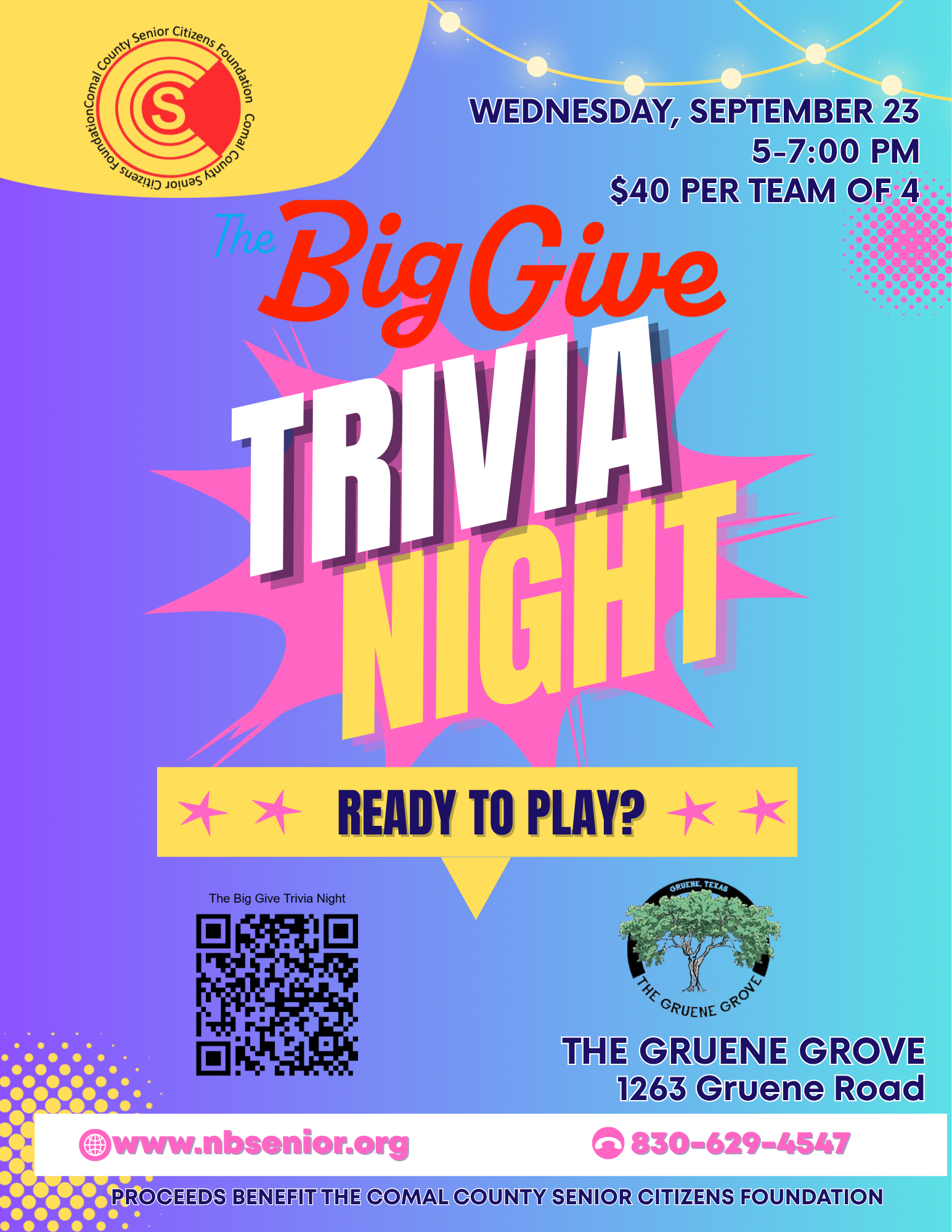 The Big Give Trivia Night 2026 (3).png