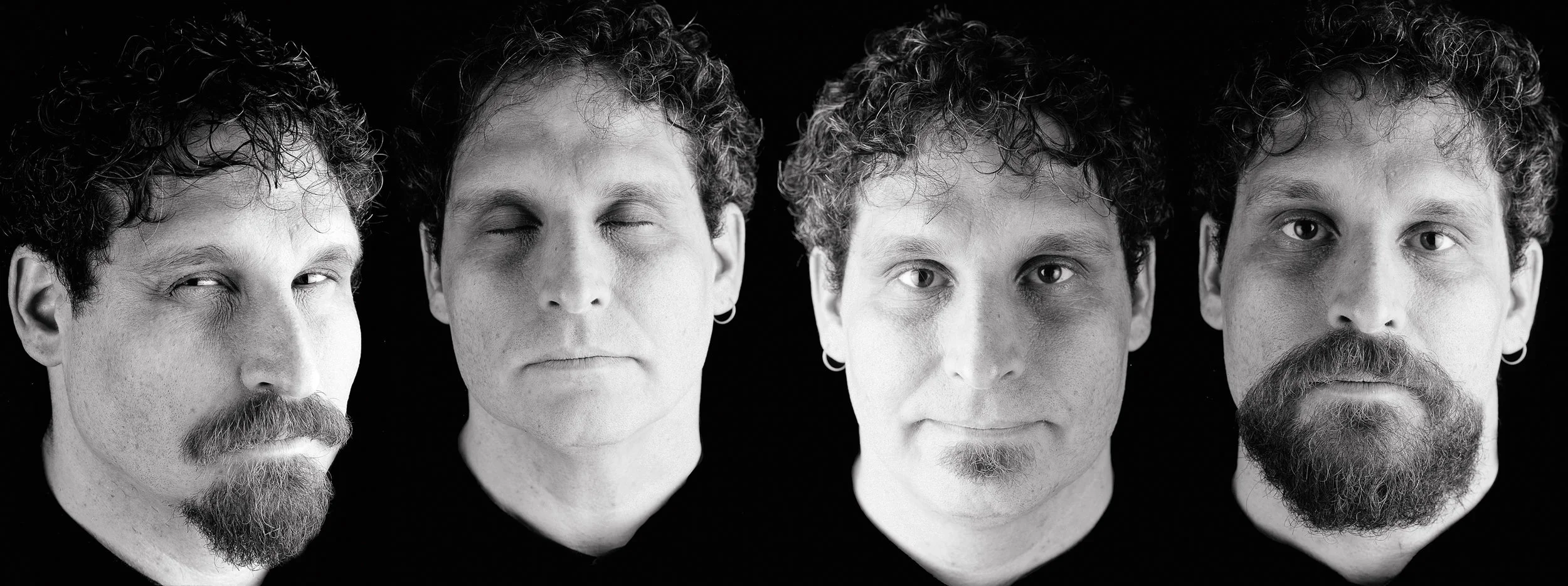   Personal Grooming , quadtone inkjet print, 42” x 116”, 2003 