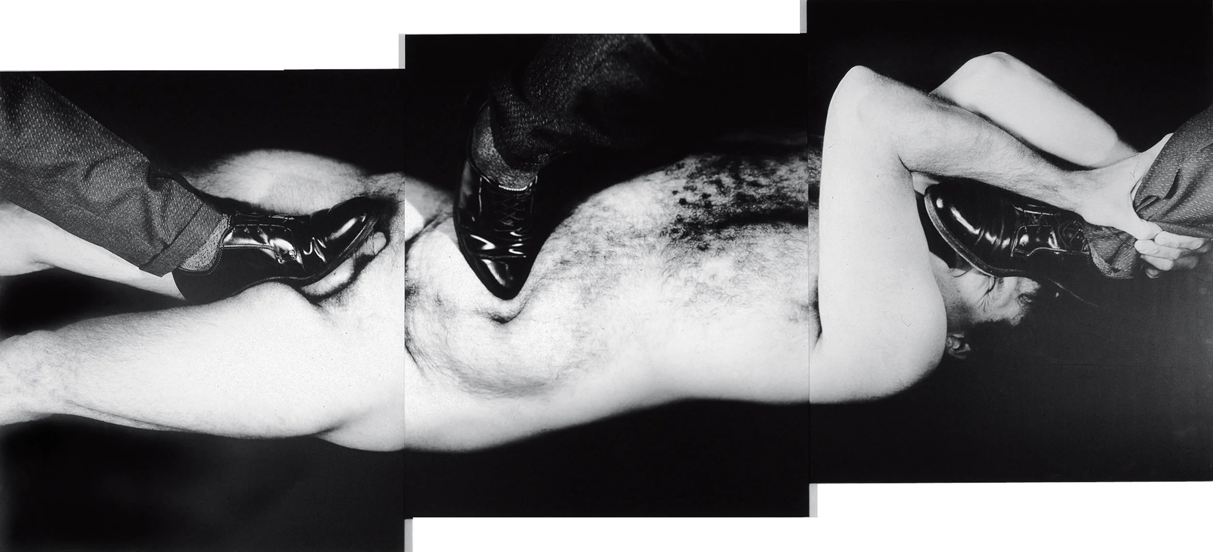  Pound of Flesh III , silver gelatin print - diptych, 48” x 144”, 1992 
