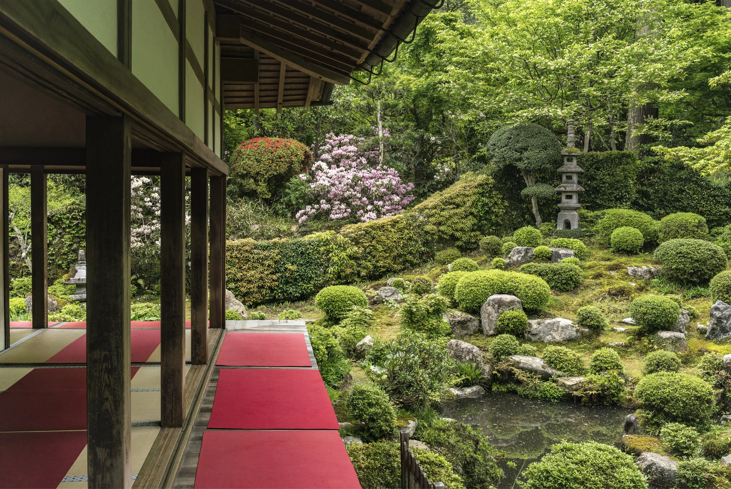 Saiho-Ji, Kyoto , pigmented archival print mounted to dibond, 32” x 44”, 2018