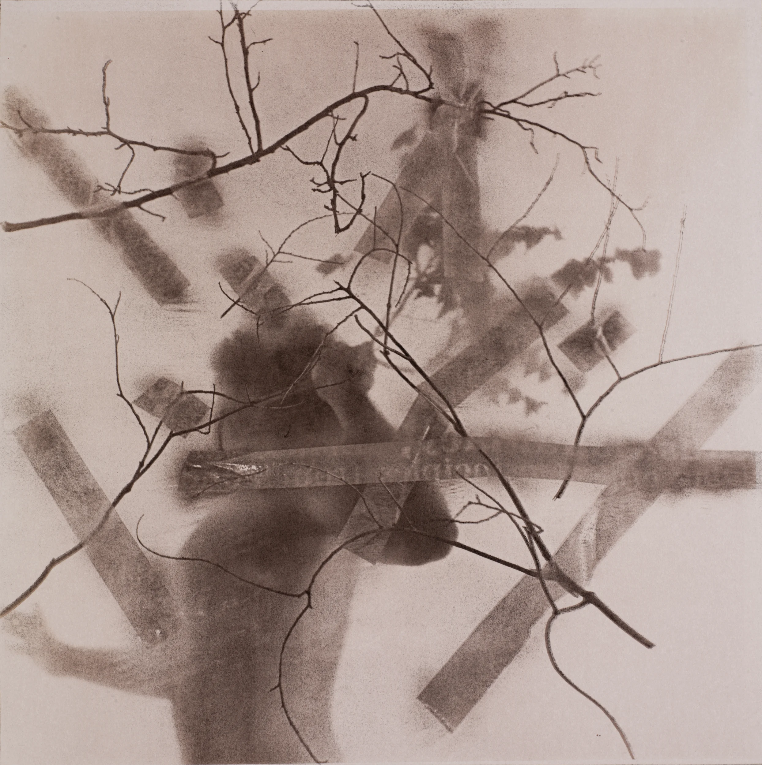 Catharsis #5 , van dyke with copy transfer, 24” x 20”, 1986