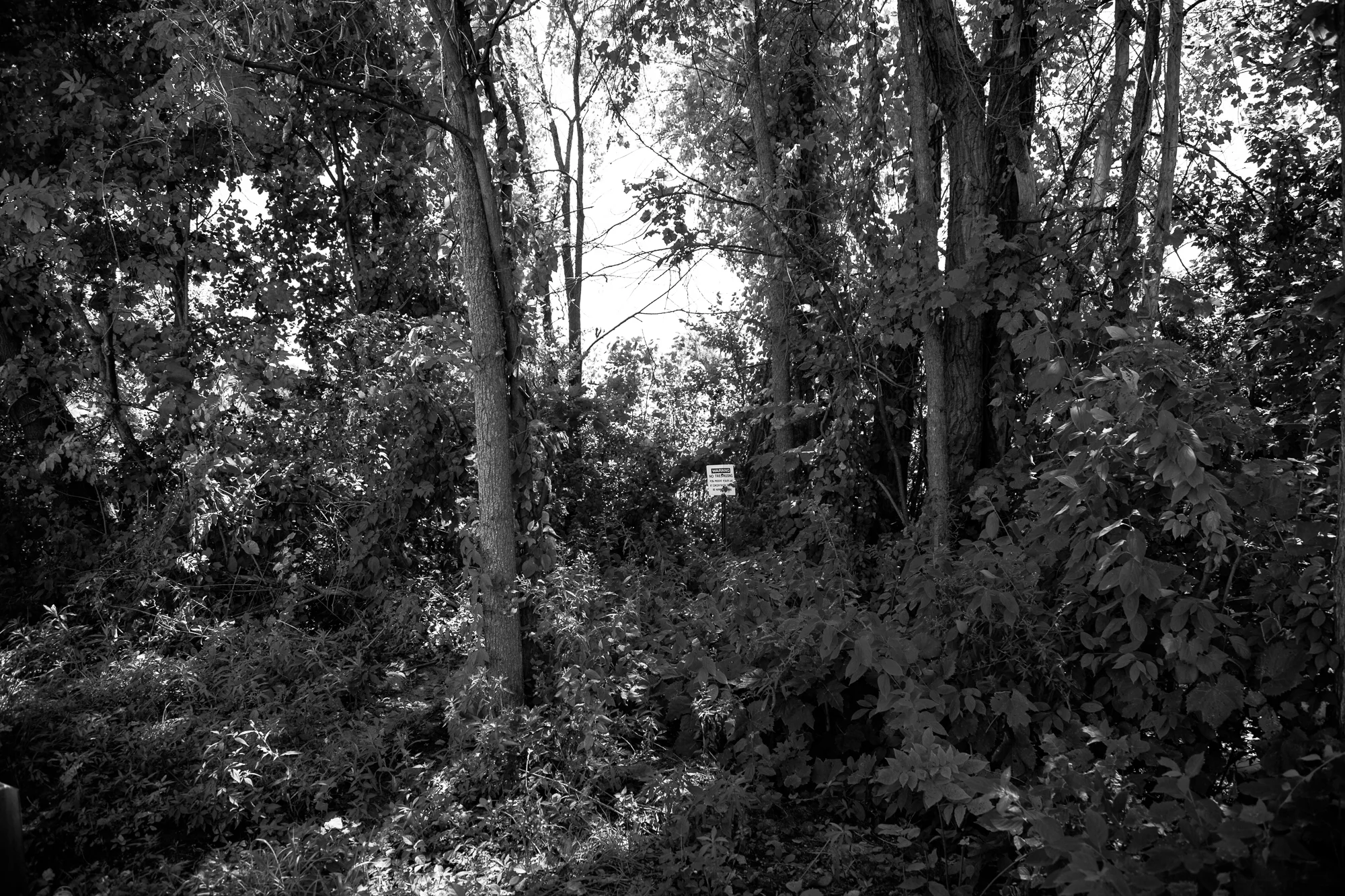 General Electric's Contamination of Silver Lake, Pittsfield, MA, Pigmented Ink Print, 23” x 34”, 2014