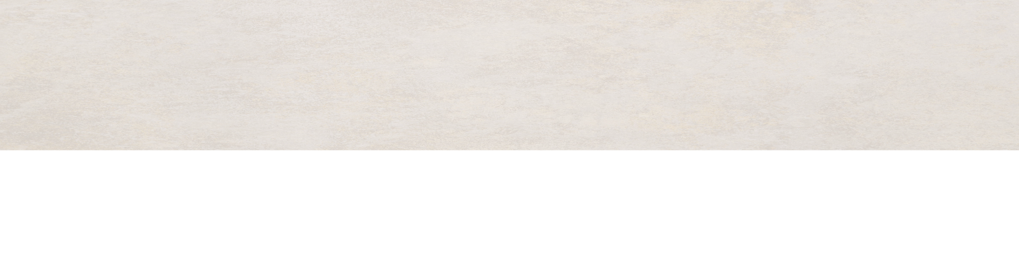 TWV Header (37).png