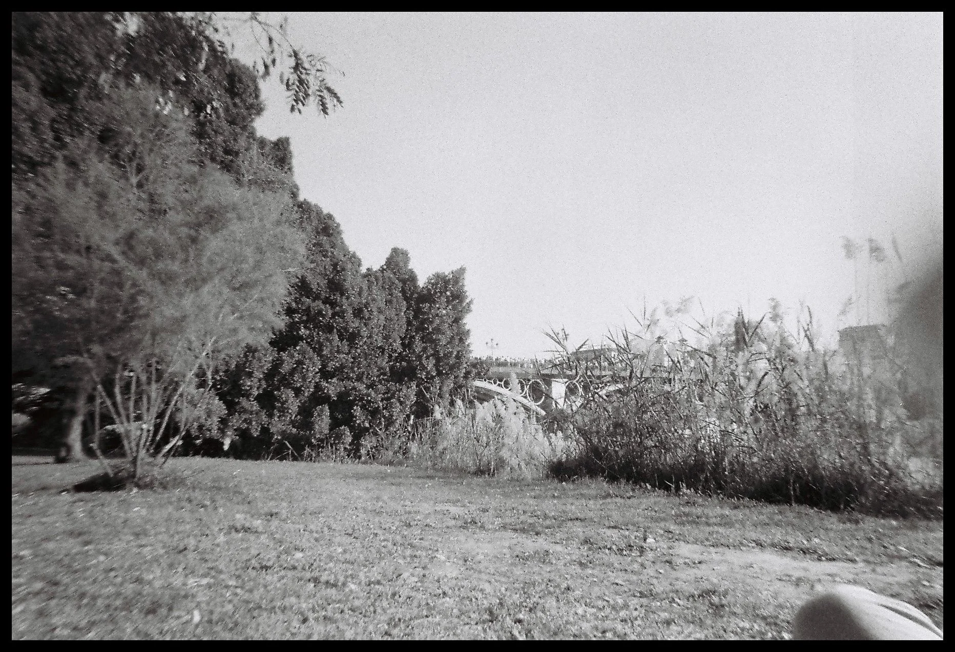 2022-09-08 13.13.53-2.jpg