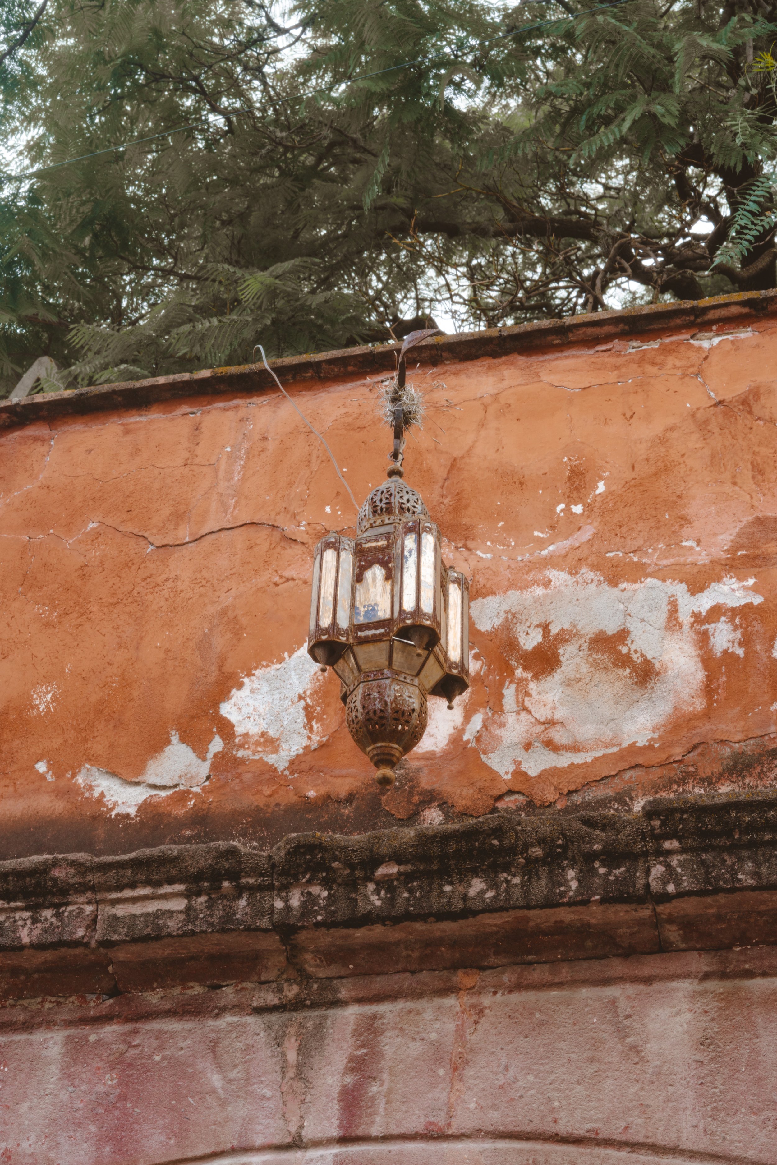 2022-FAMILIA-SANMIGUELDEALLENDE-134.jpg