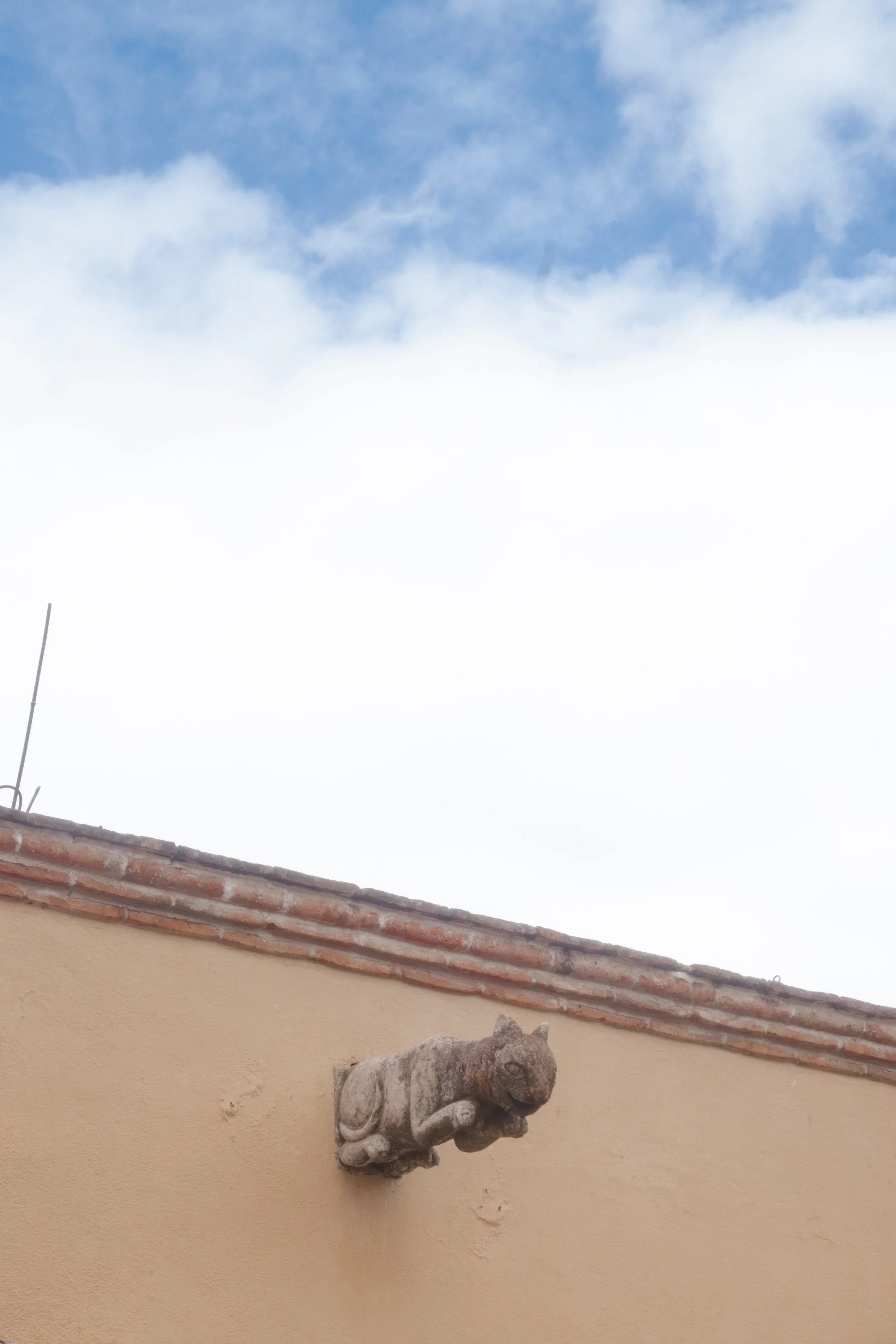 2022-FAMILIA-SANMIGUELDEALLENDE-135.jpg