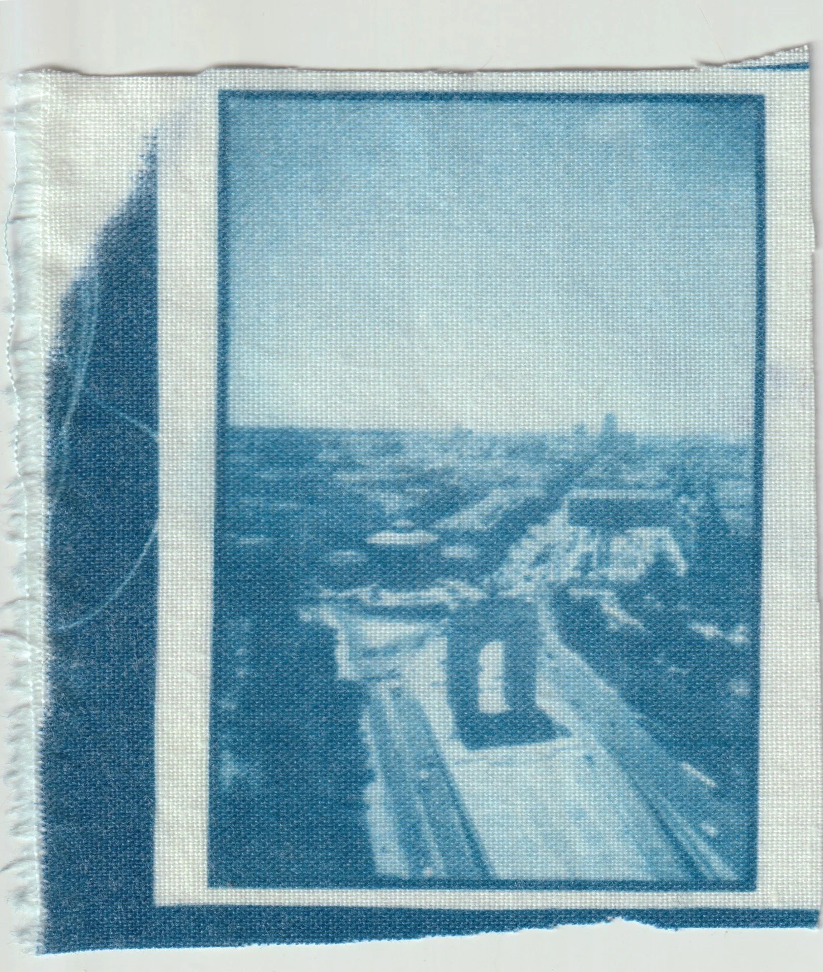 TELA CIANOTIPIA 3.jpeg