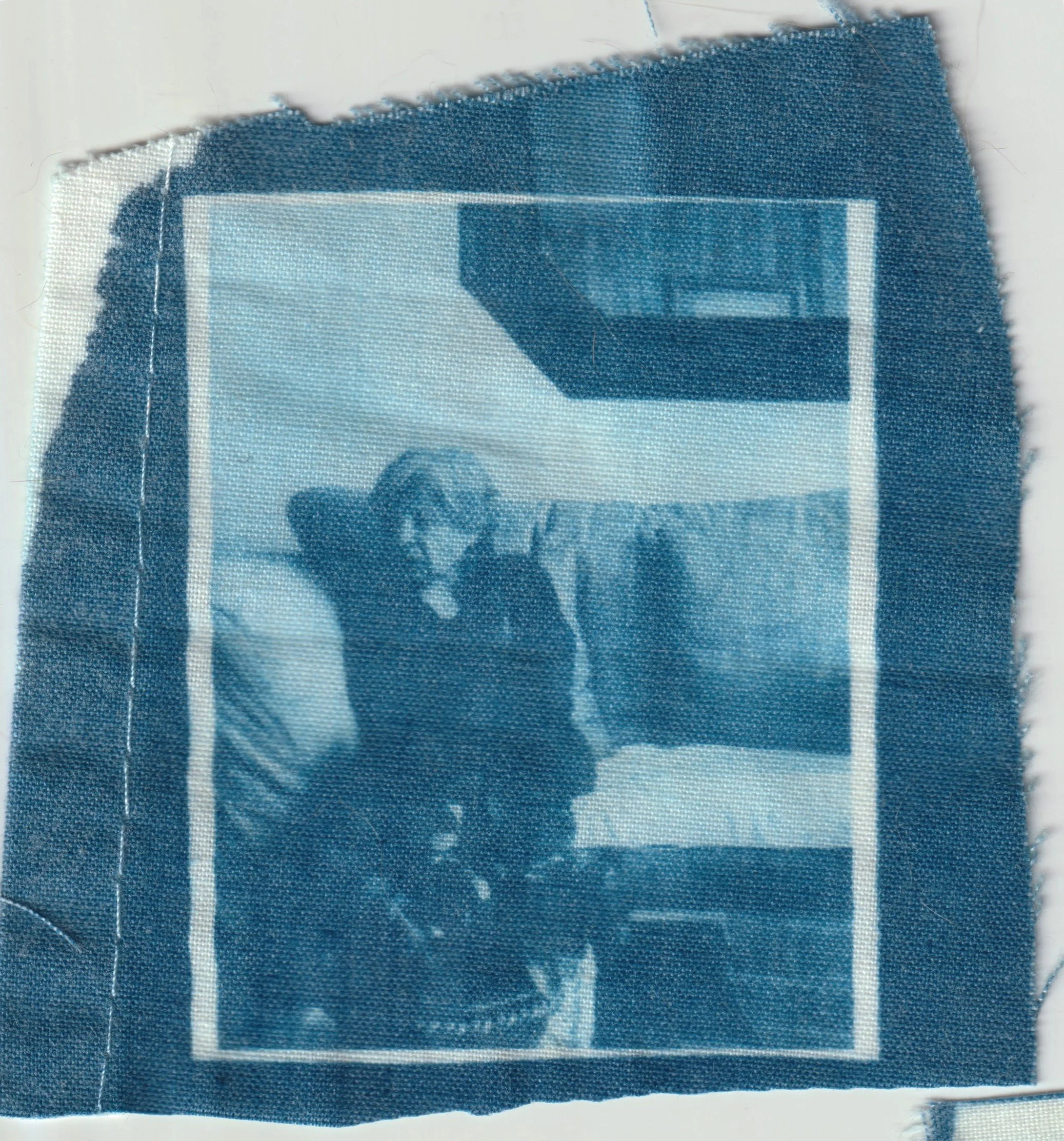 TELA CIANOTIPIA 2.jpeg