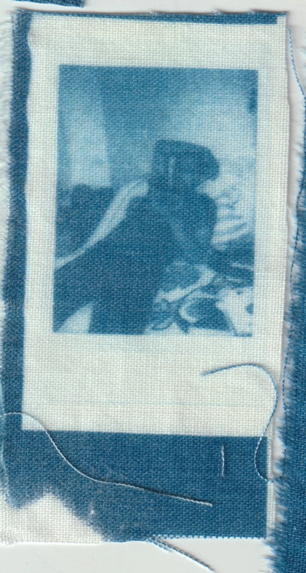 TELA CIANOTIPIA 4.jpeg