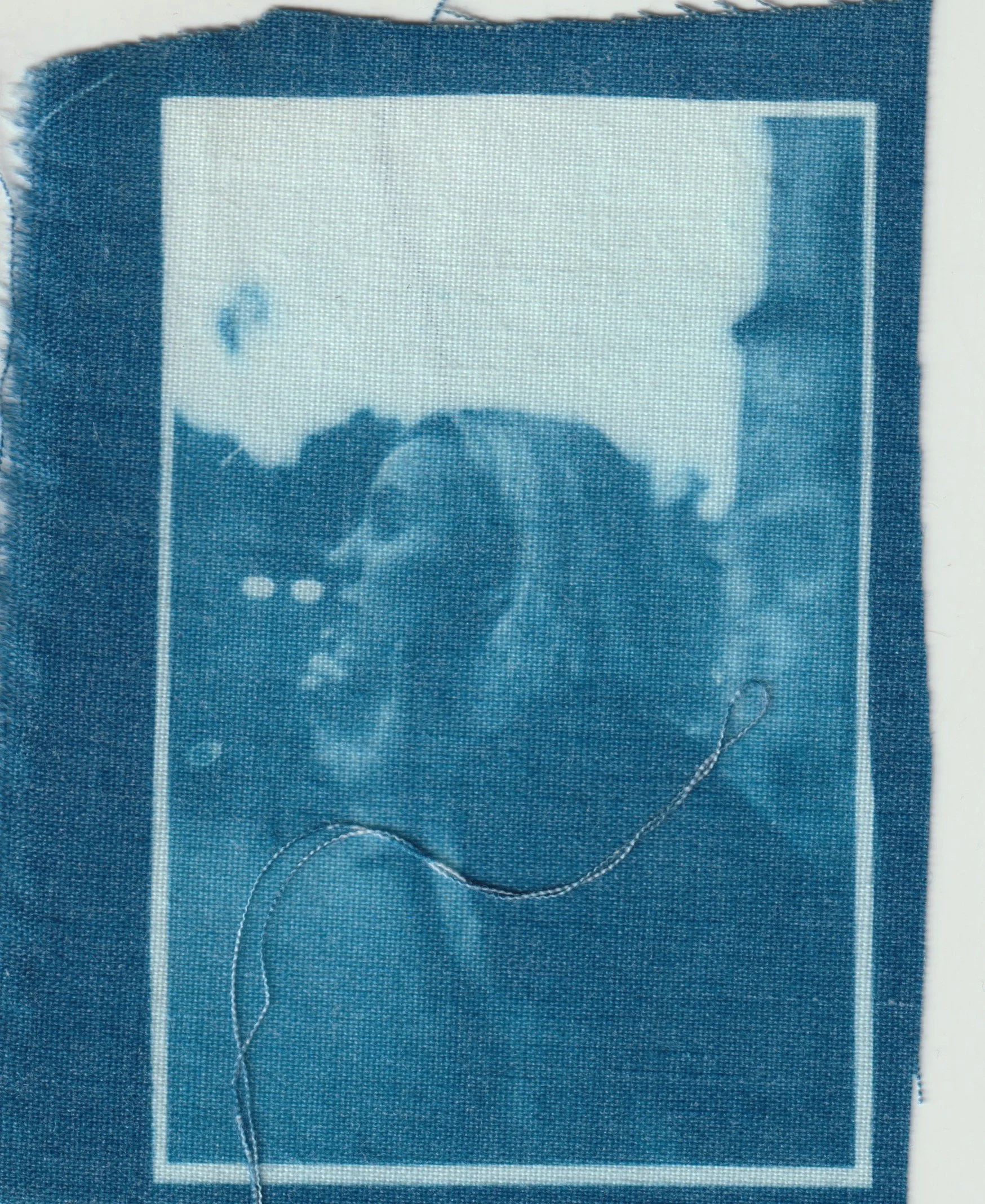 TELA CIANOTIPIA 5.jpeg