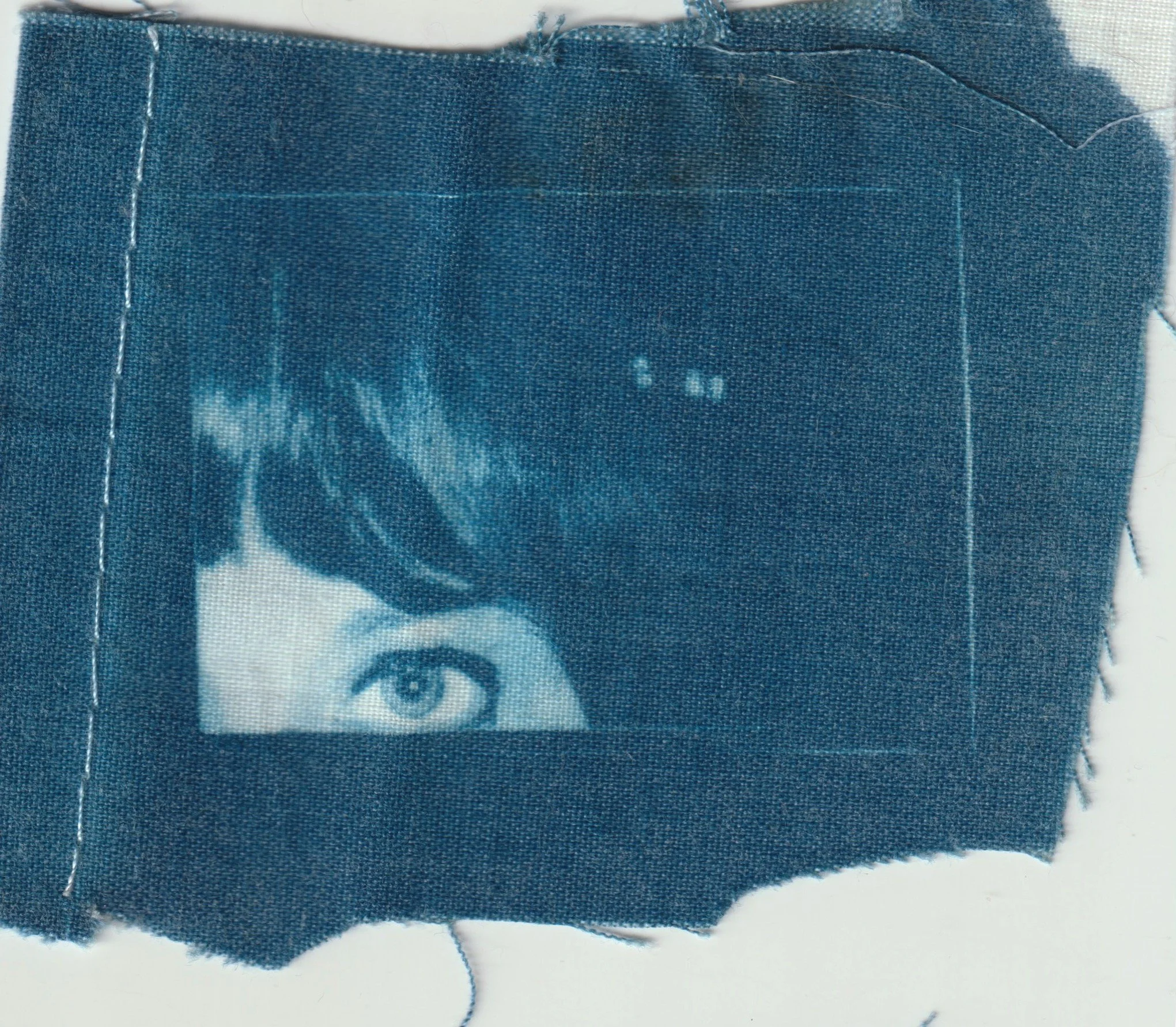 TELA CIANOTIPIA 6.jpeg