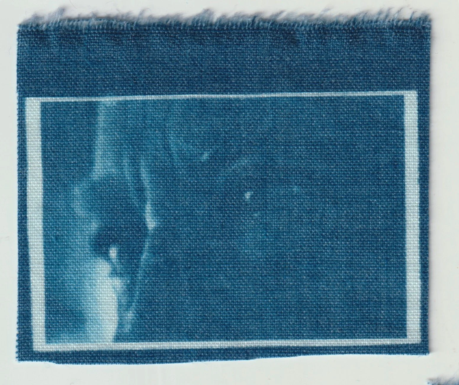 TELA CIANOTIPIA 9.jpeg