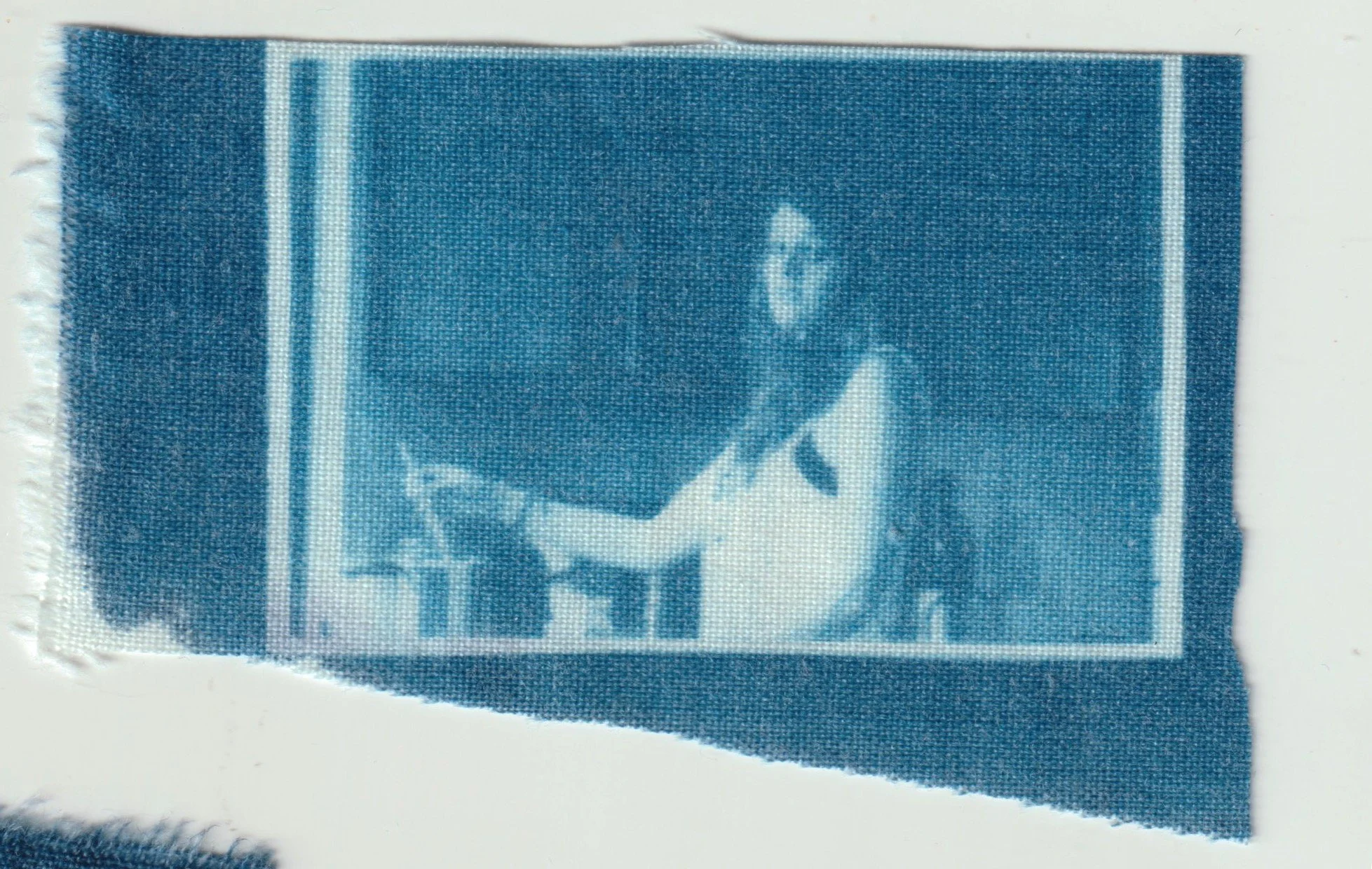 TELA CIANOTIPIA 10.jpeg