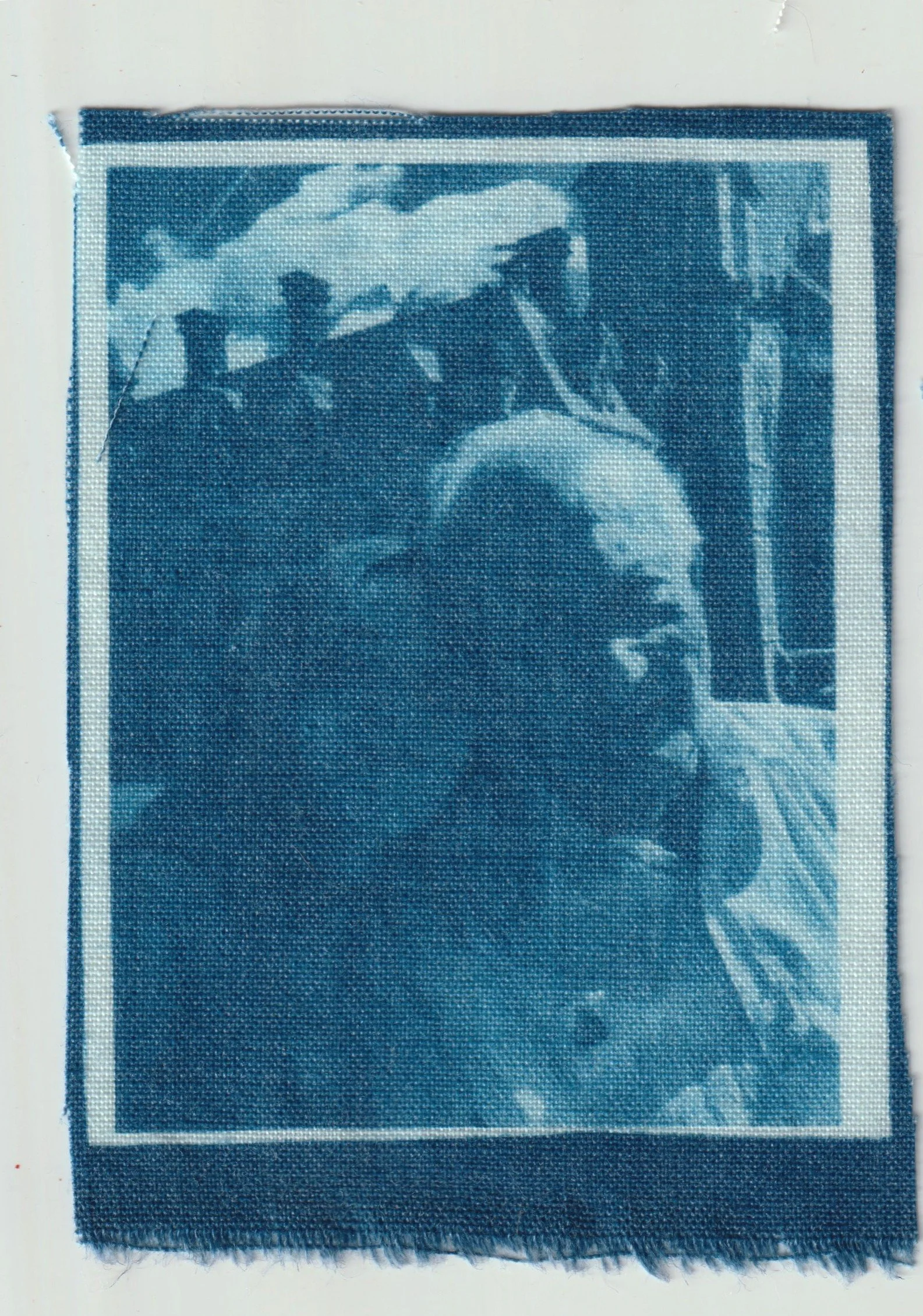 TELA CIANOTIPIA 13.jpeg