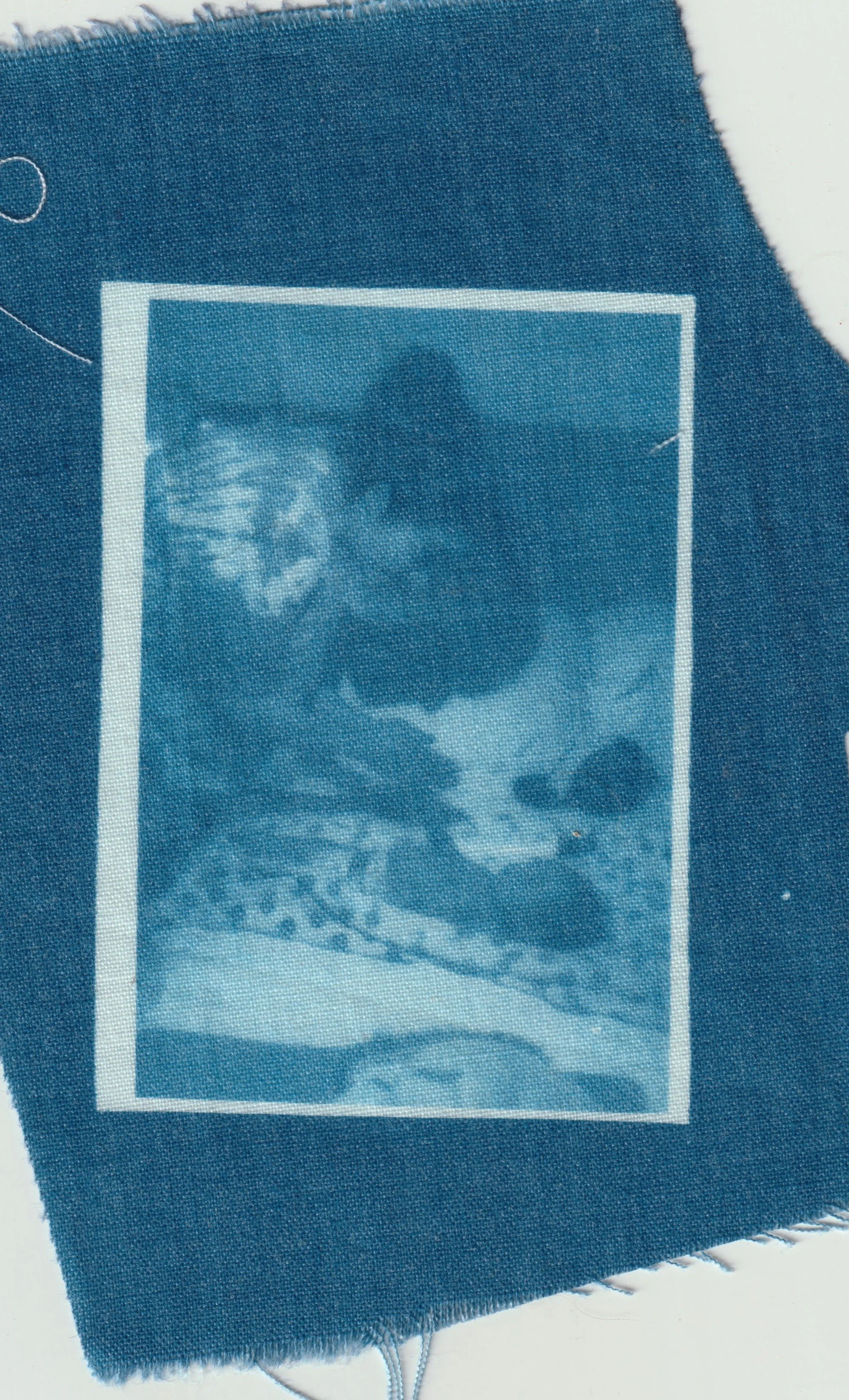 TELA CIANOTIPIA 14.jpeg