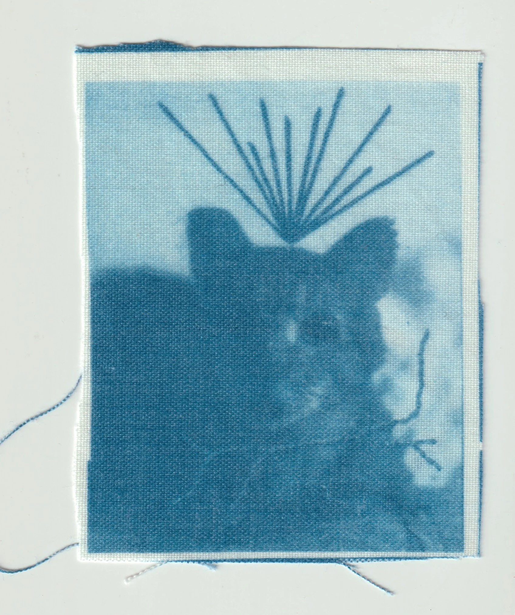 TELA CIANOTIPIA 20.jpeg