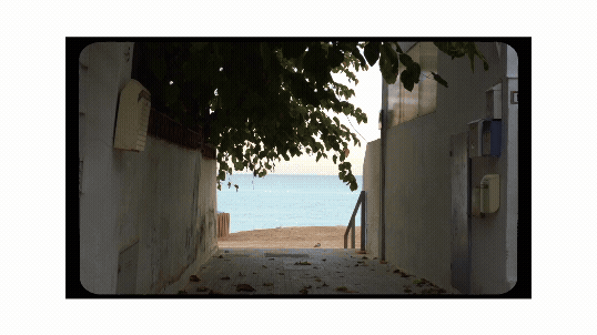 Querés ser mi amigue?