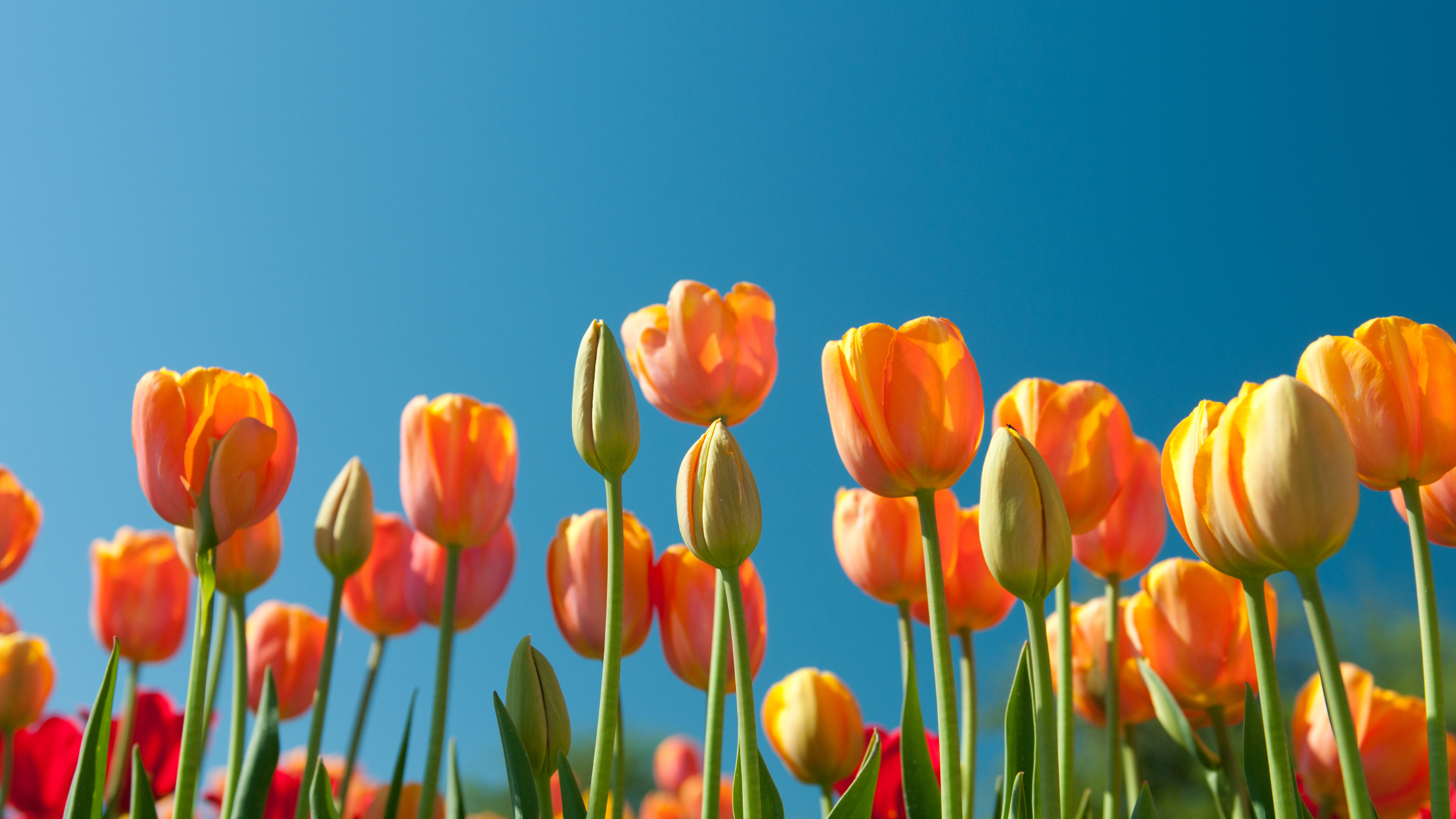 5 Ways to Improve Your Credit Before Spring